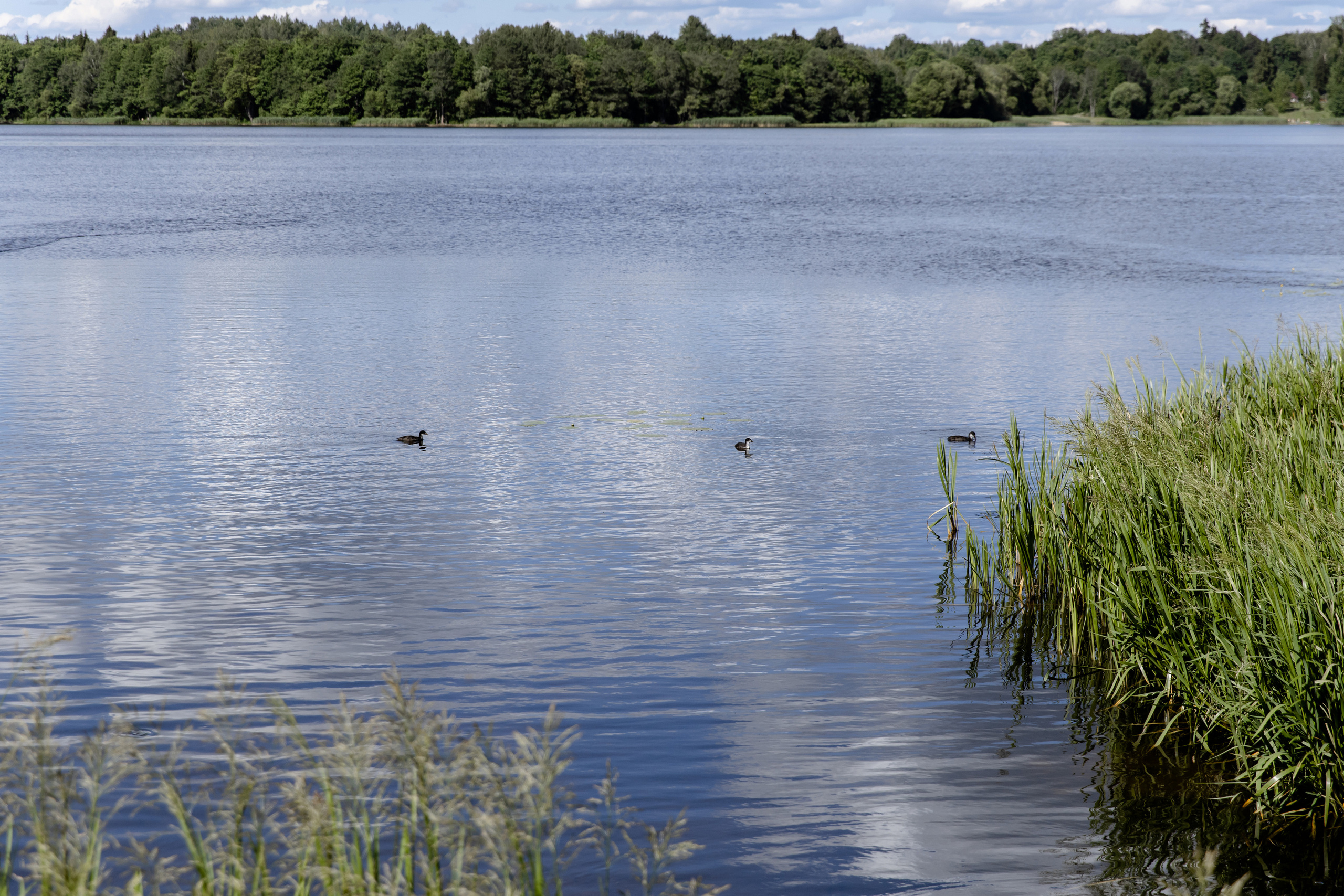 Свадебный день Сергея и Иры. Свадебный фотограф Анна Бабахина