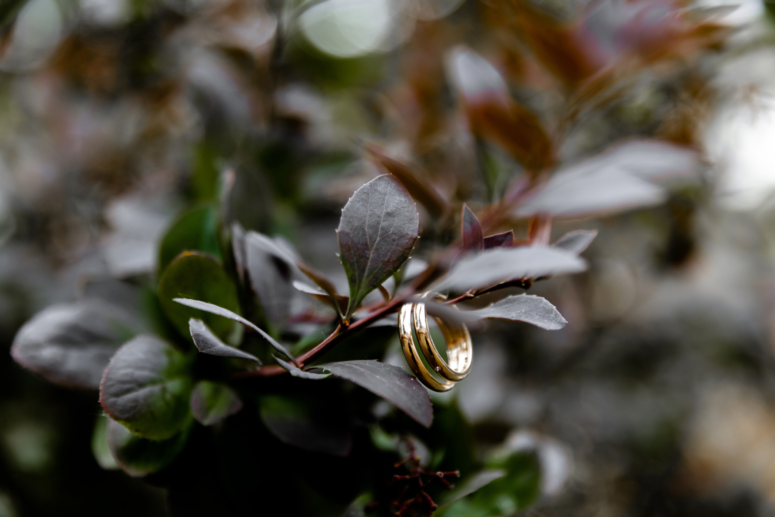 Свадебный день Леши и Вики. Свадебный фотограф Анна Бабахина