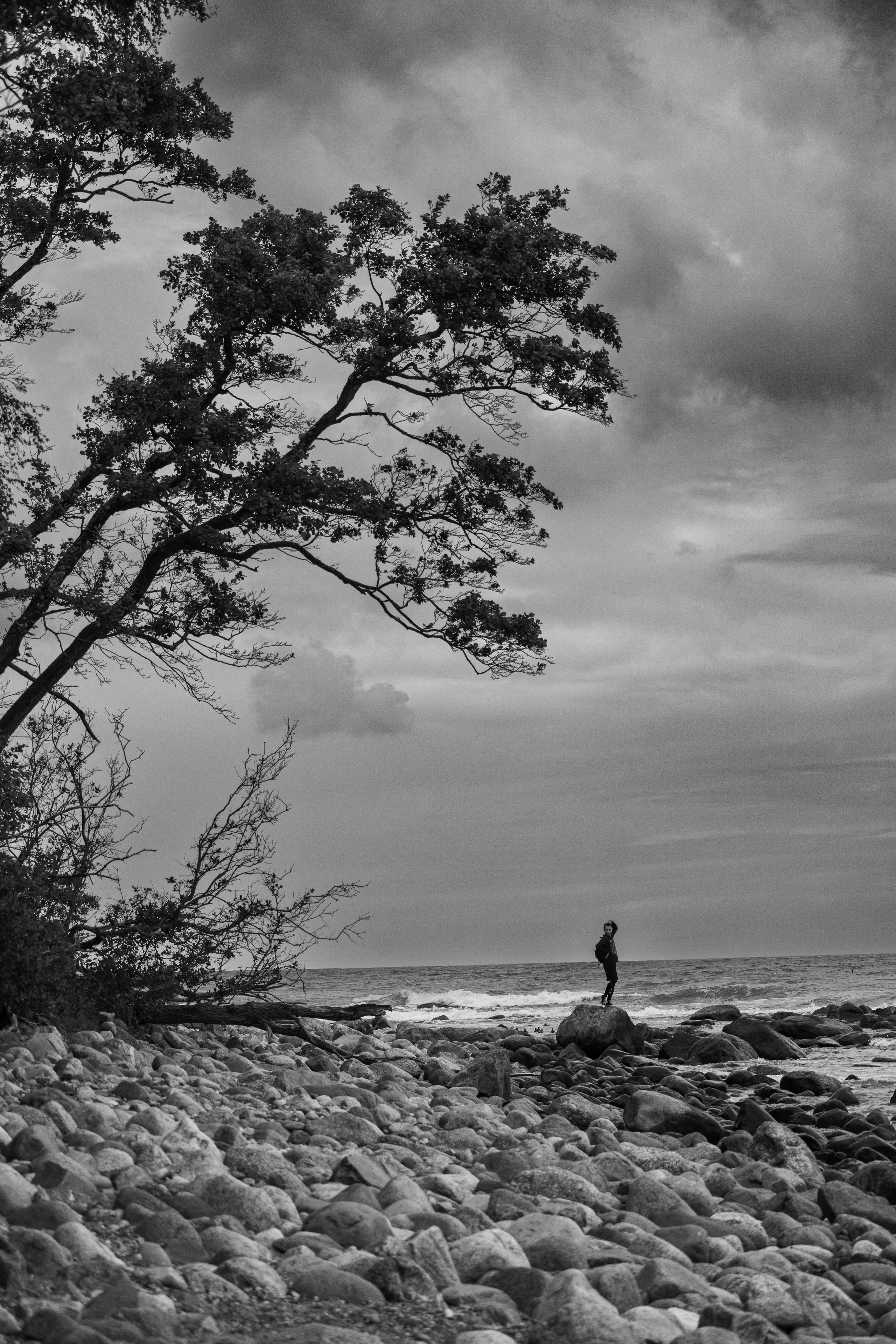 пейзаж на берегу балтики