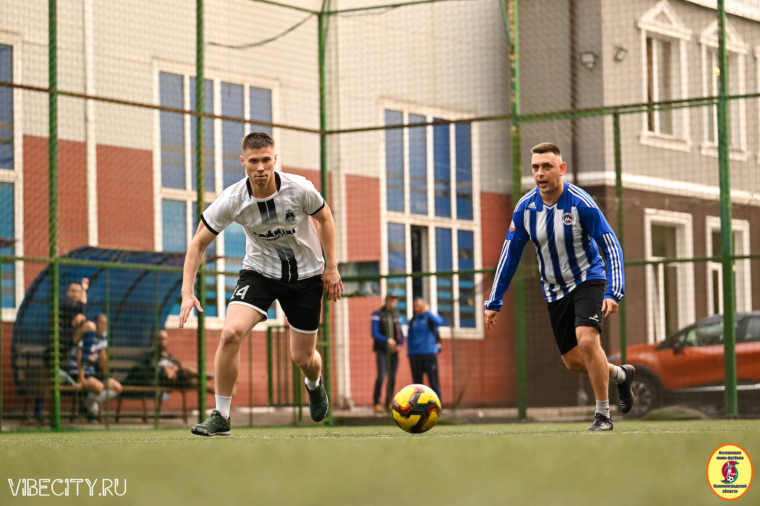 ИГРЫ МИНИ-ФУТБОЛЬНОЙ И КОРПОРАТИВНОЙ ЛИГИ. VIBECITY.RU Вайб Сити Ру Фоторепортажи Фотоотчеты Калининград