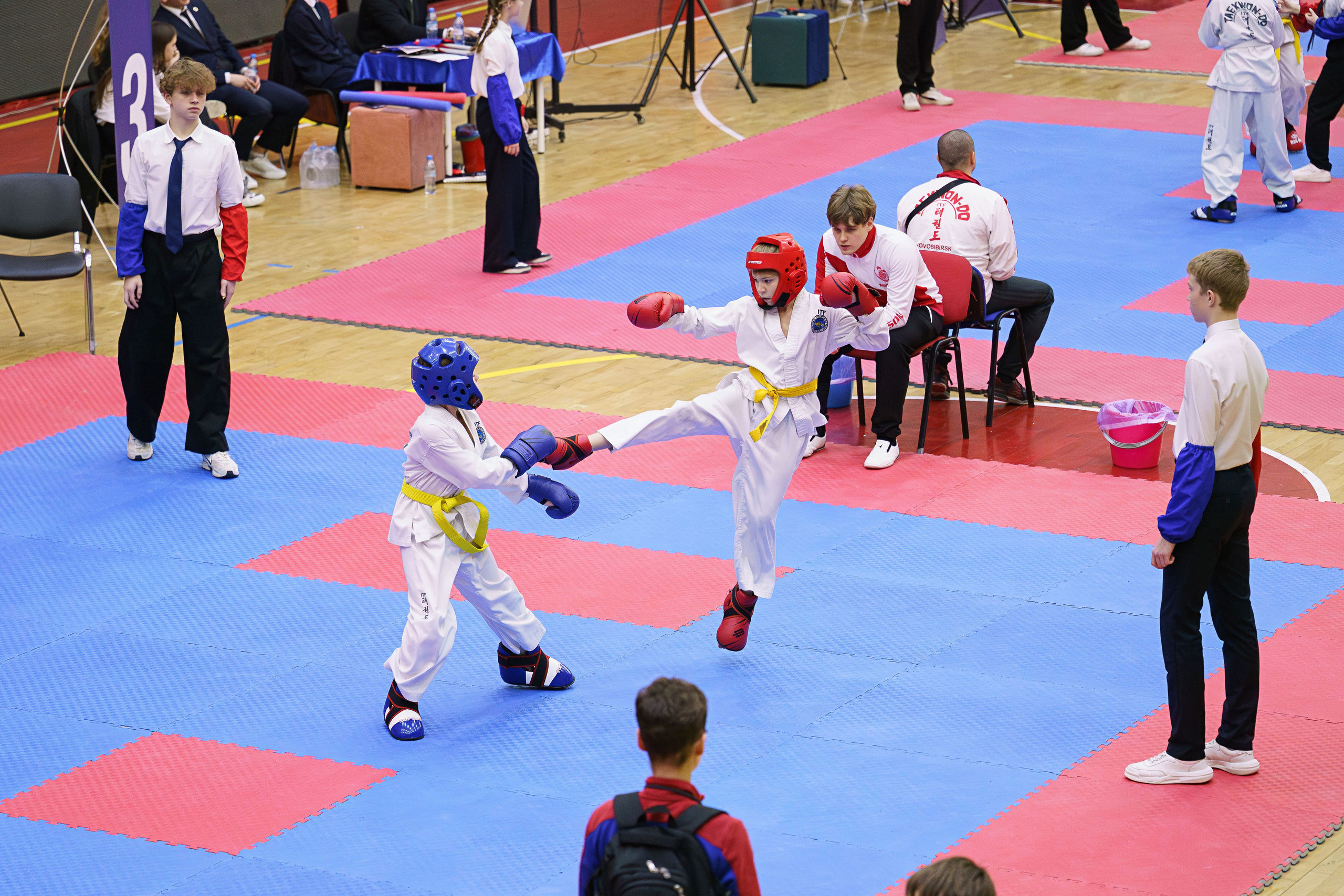 Соревнования Тхэквандо 23.11.2025. Фотограф Наталья Соколовская. Новосибирск