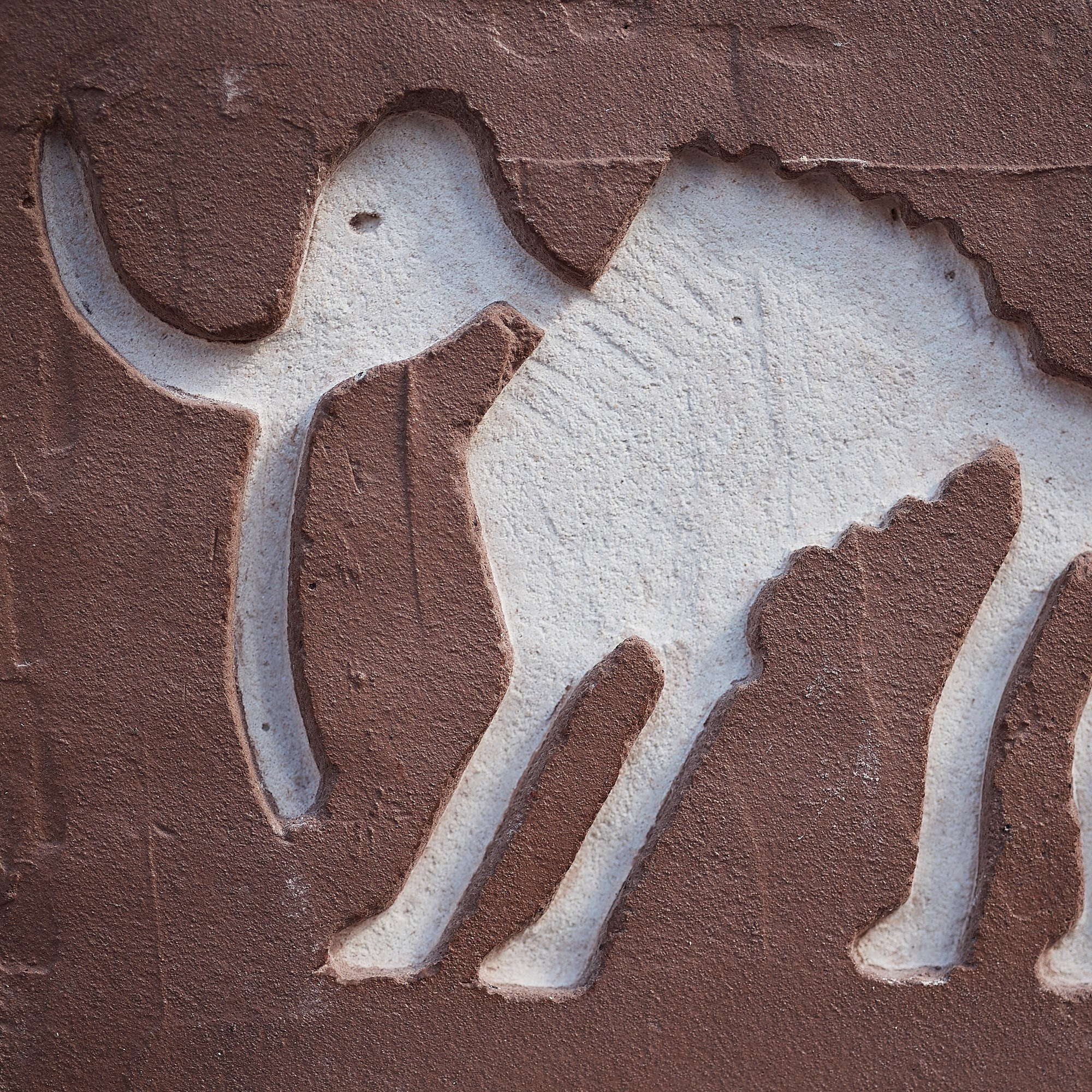 Интервью с Ирой Tigerlover (Владивосток)