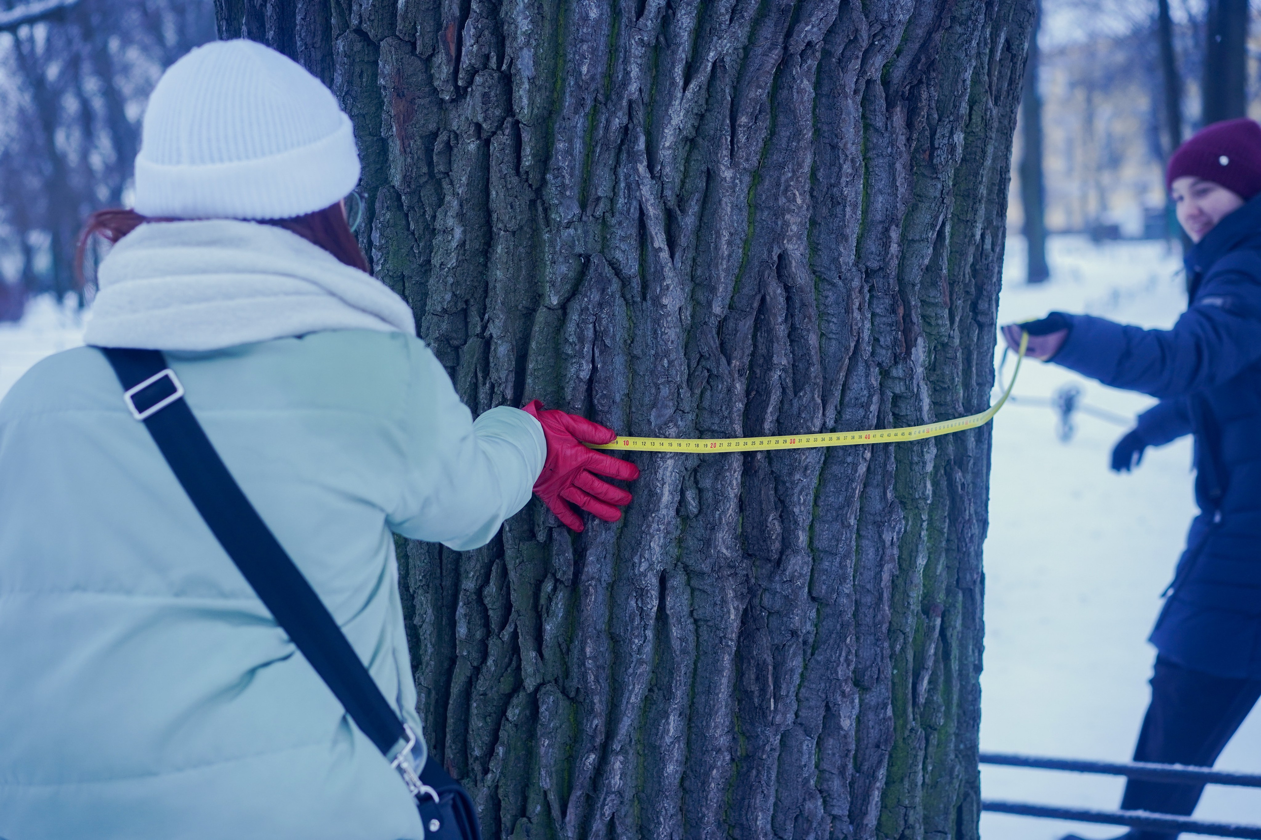 Исторический квест в Санкт-Петербурге