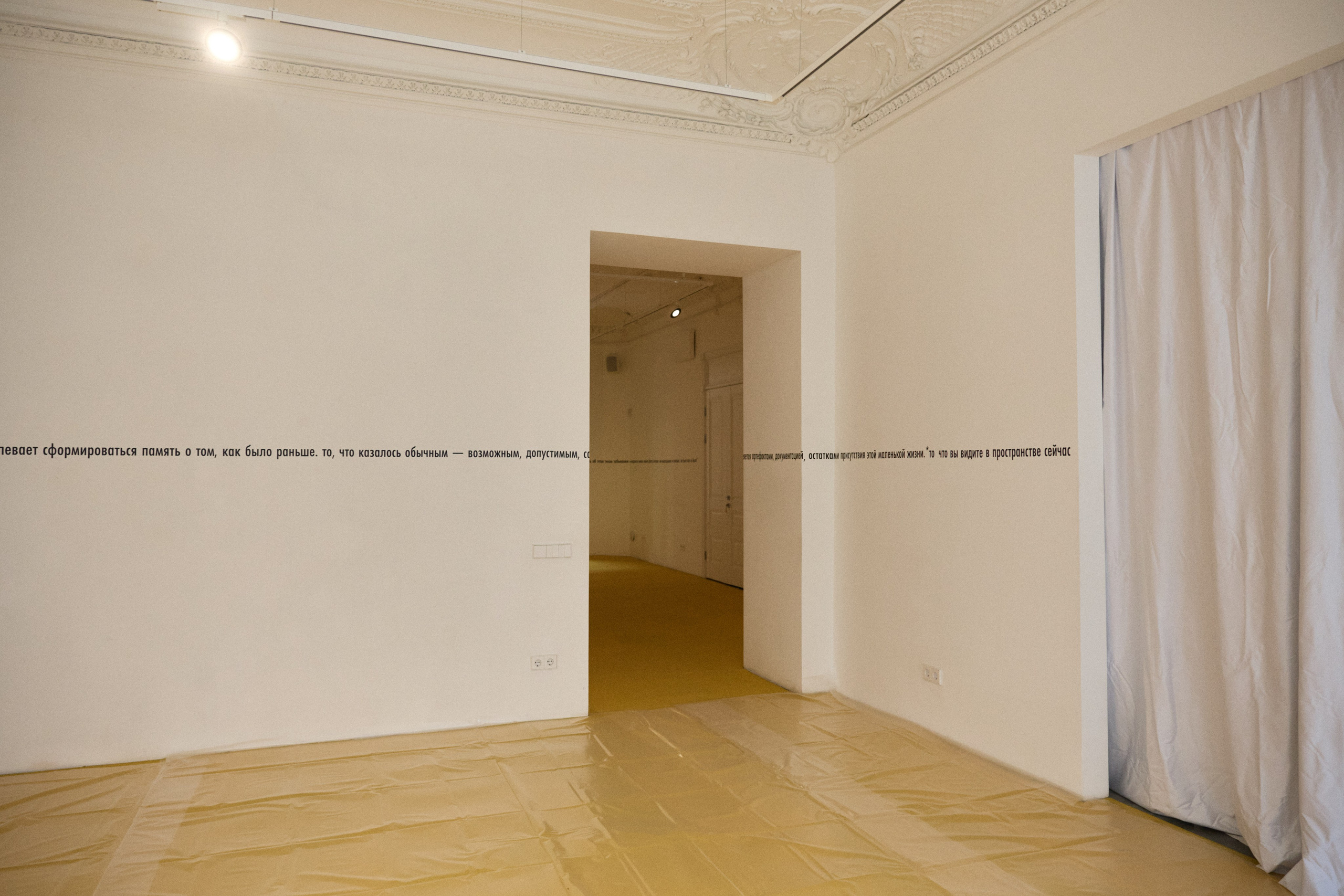 Focus: Performance. Anna Zavediy