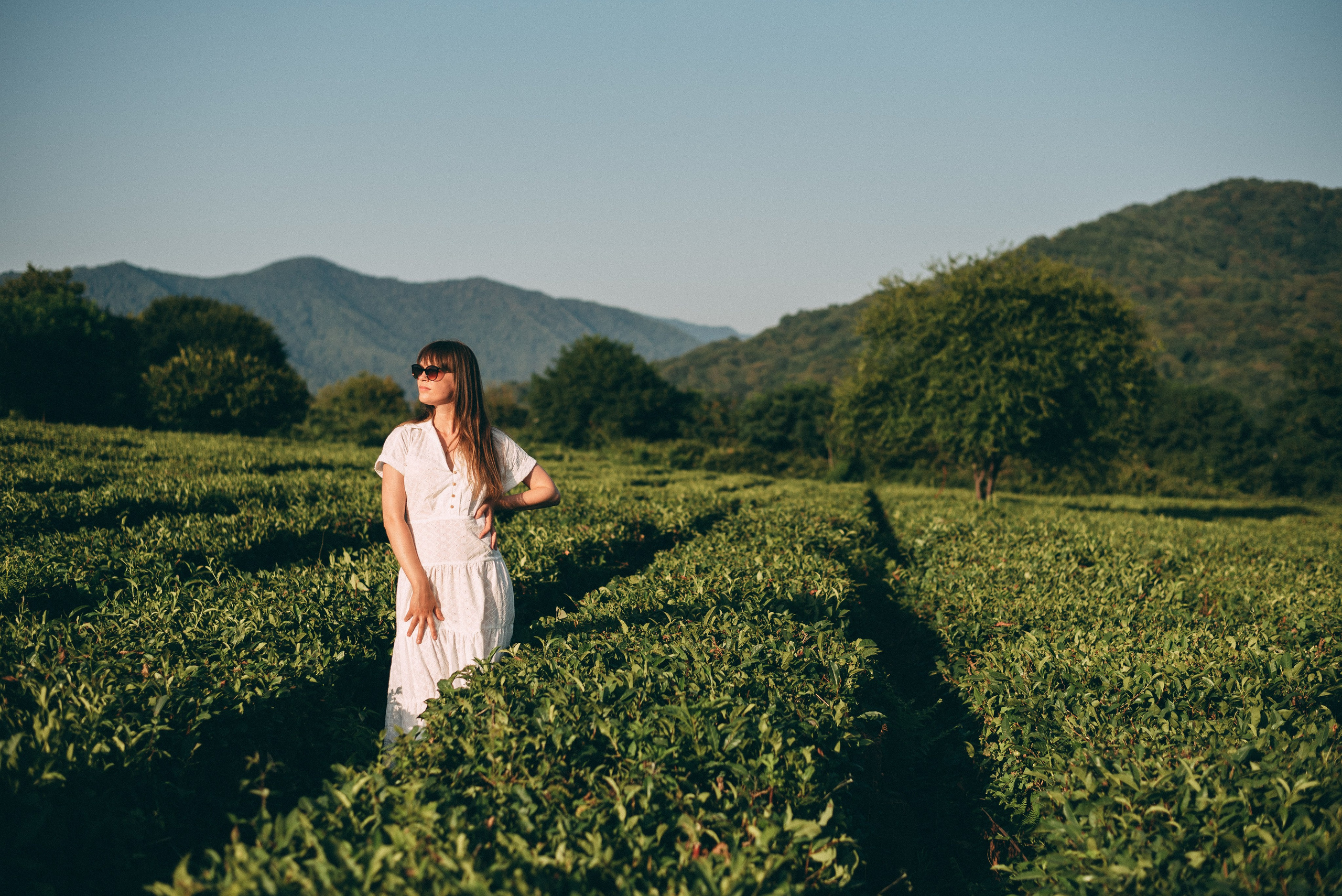 Фотосъемки в горах на чайных плантациях Сочи. Фотограф в Сочи — Маргарита Поганова