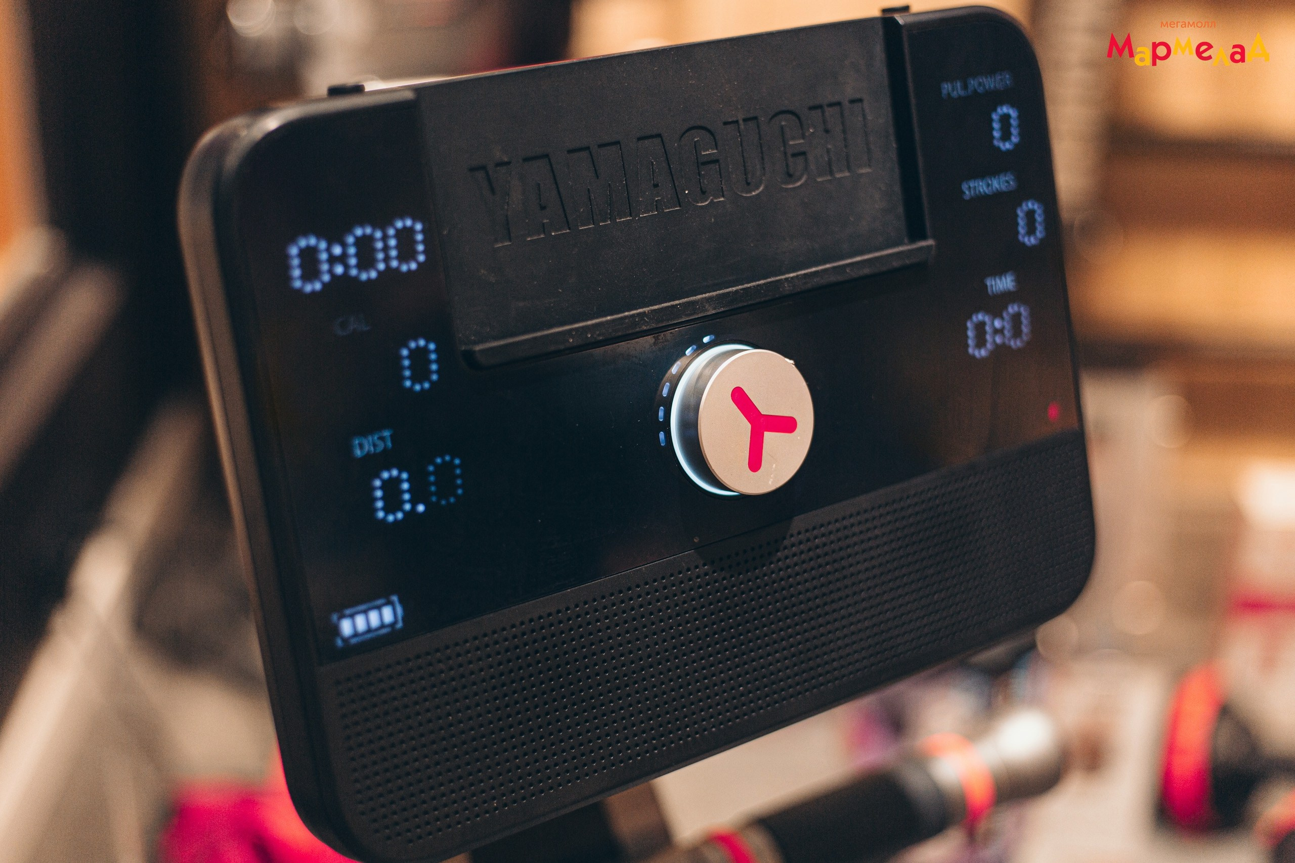 28.12 Yamaguchi в МАРМЕЛАД. Команда специалистов в мире фотографии и видео. Детский фотограф, семейный фотограф