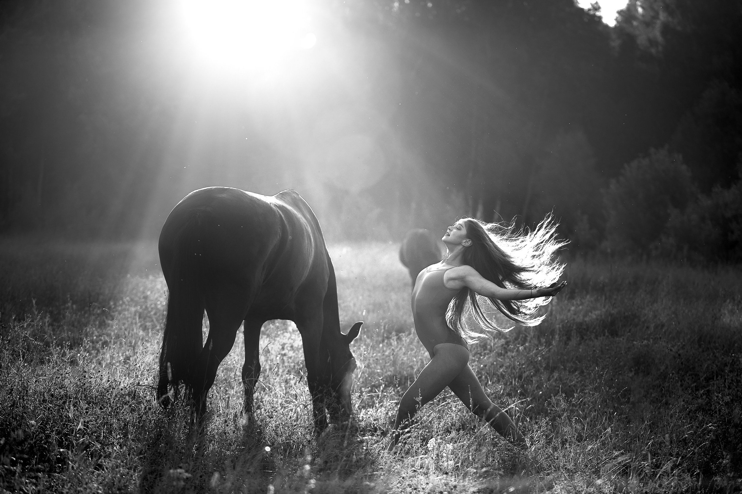 Балет и лошади, фотосессия «ГРАЦИЯ и СИЛА-1» Фотограф Михаил Семенов г. Ярославль