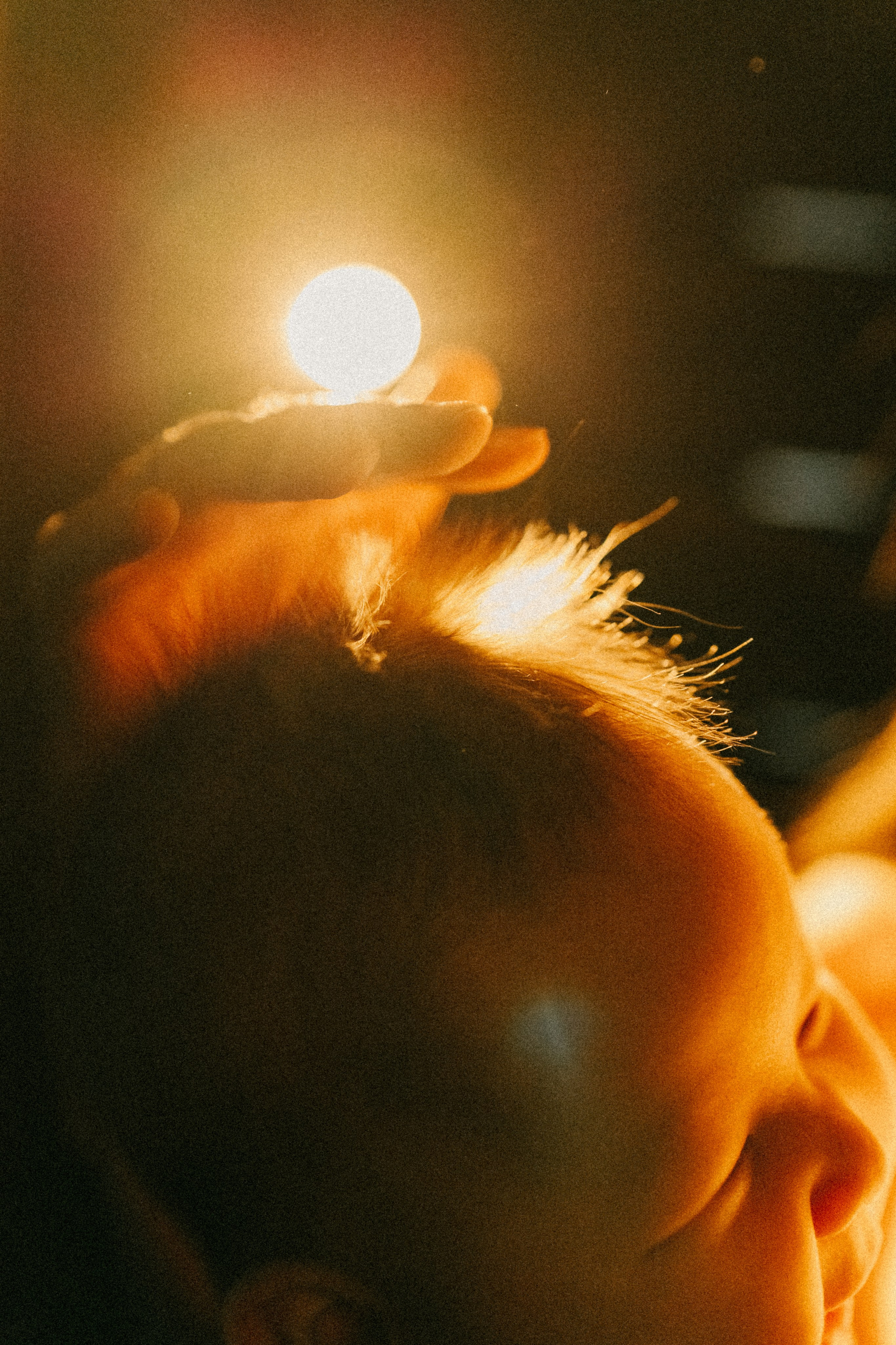 Портрет мамы и малыша, в объятиях контрового света. Фотосессия новорожденных в Москве — newborn фотограф Елена Виниченко