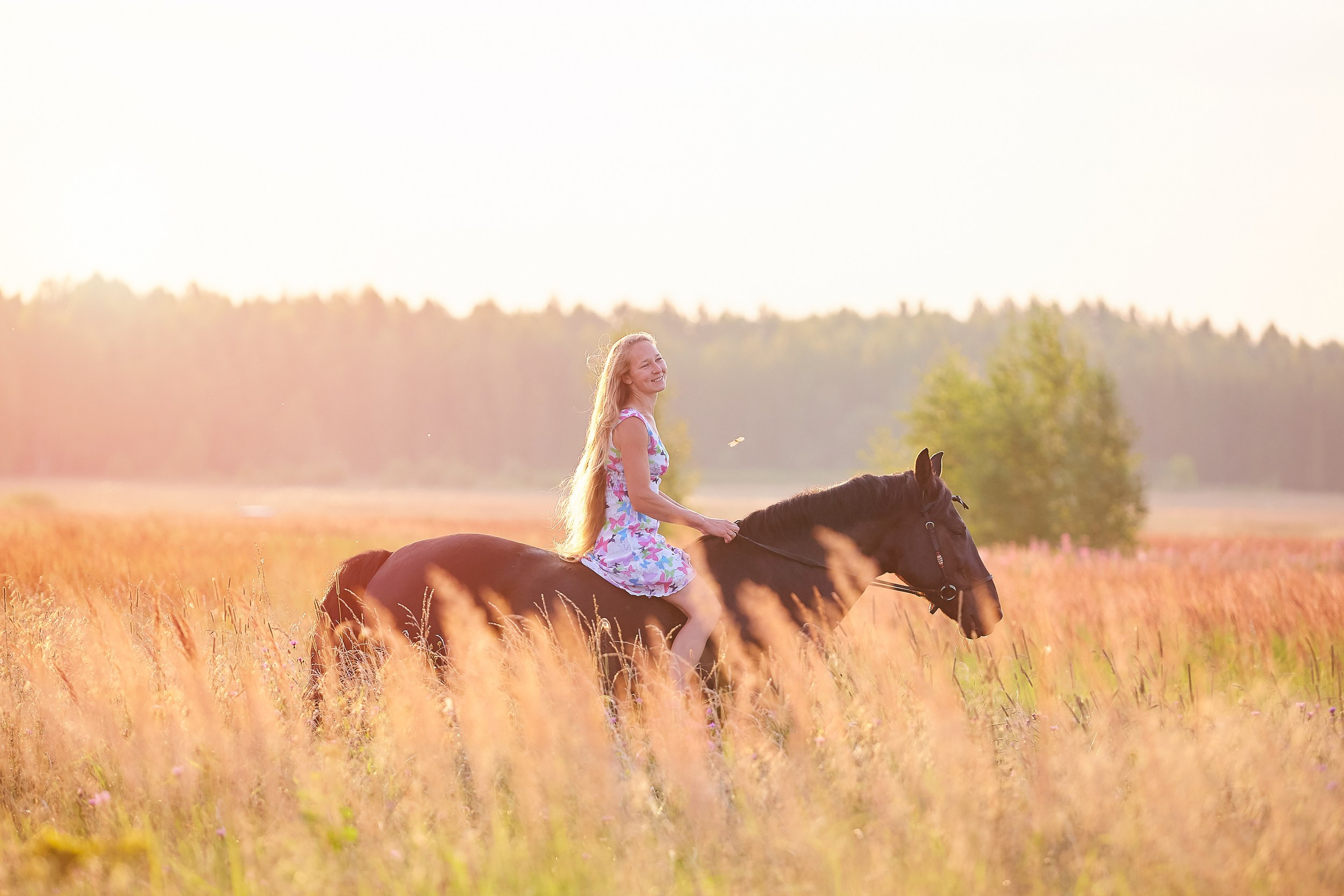 Фотосессия с лошадьми Фотограф Михаил Семенов, г. Ярославль