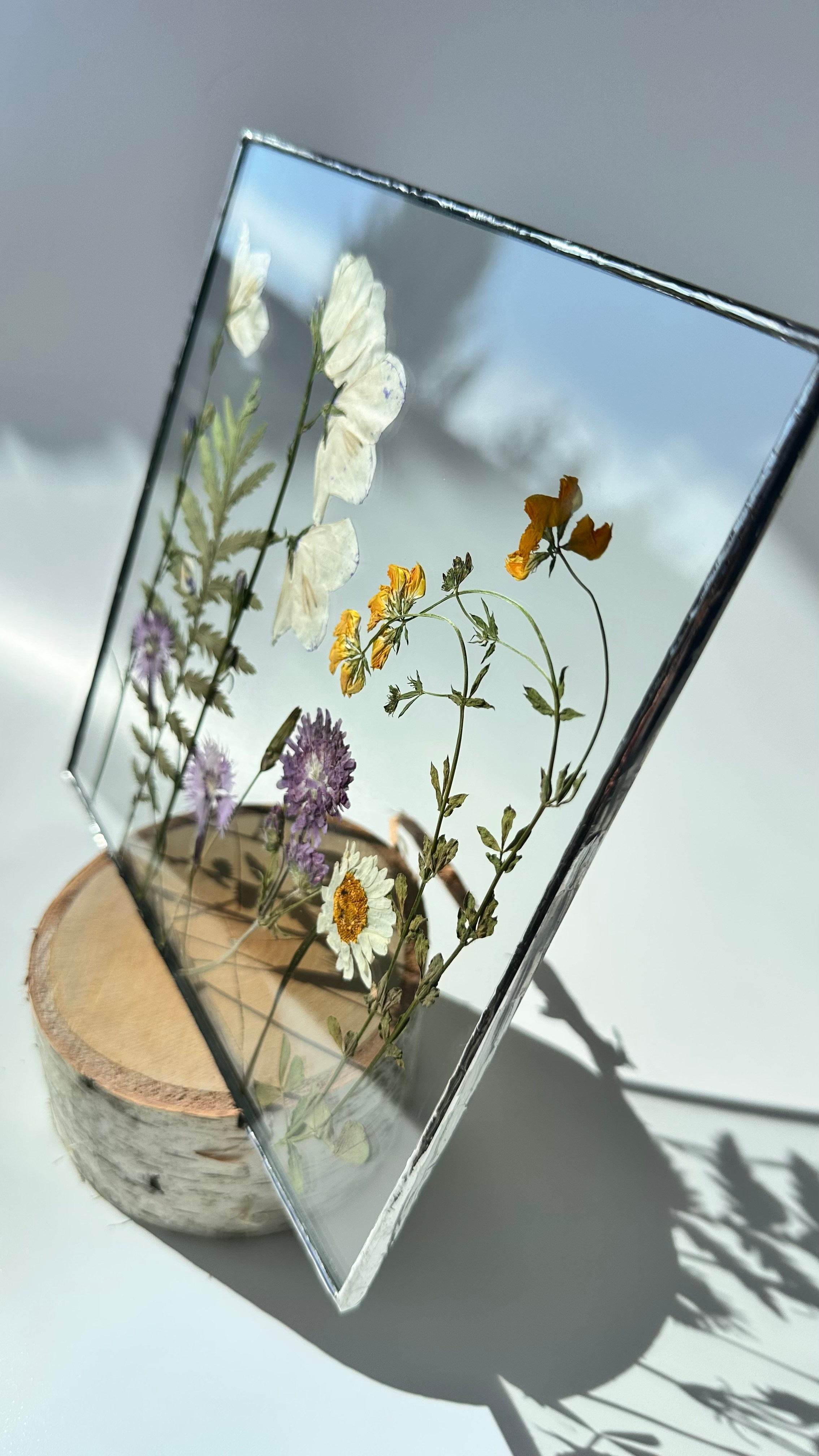 Колокольчики, гвоздики, ромашка Квадрат 20 см. Оформляю пространства. Витражи с сухоцветами в технике Тиффани