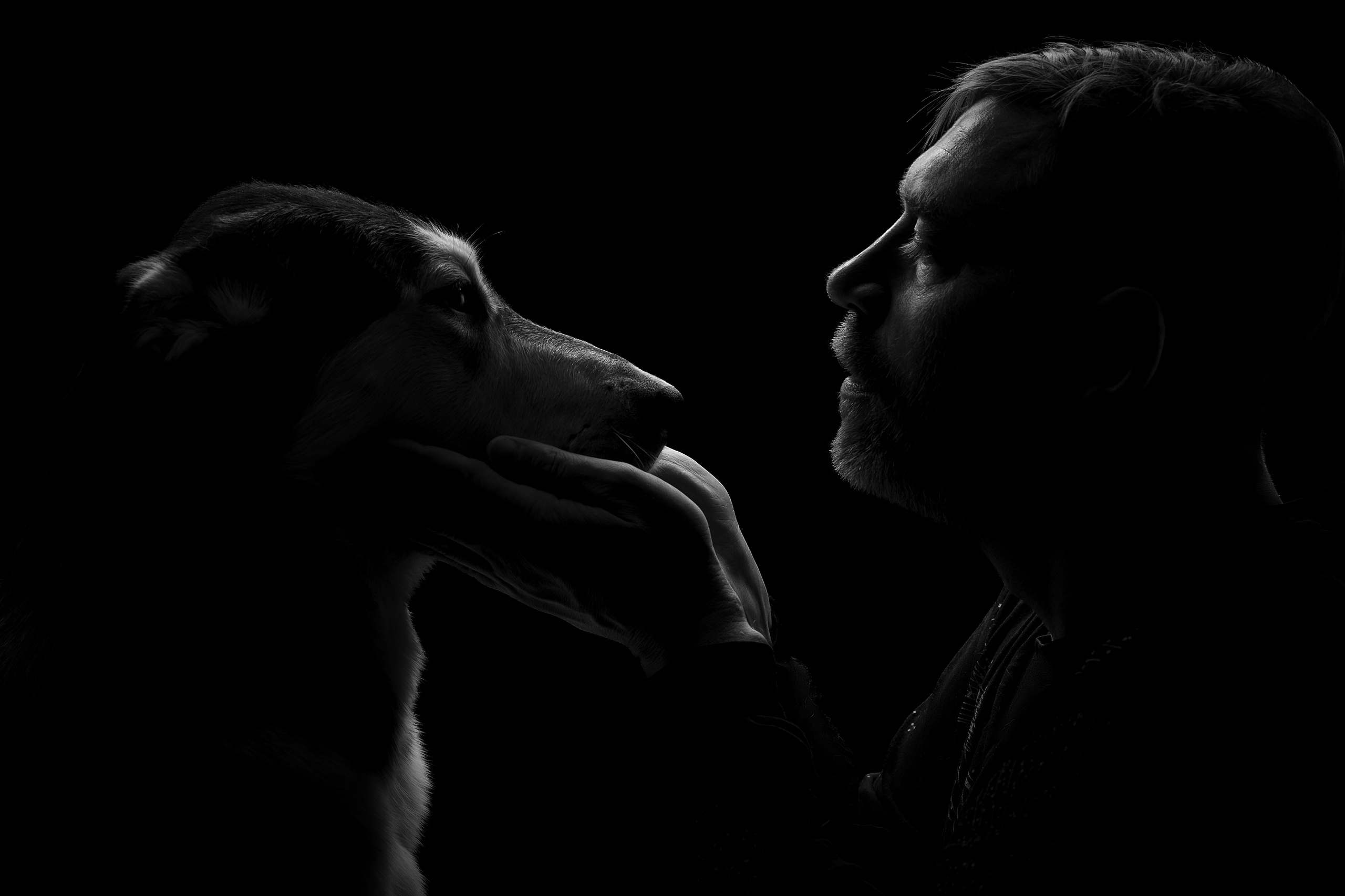 Фотограф анималист в Санкт-Петербурге Светлана Писарева