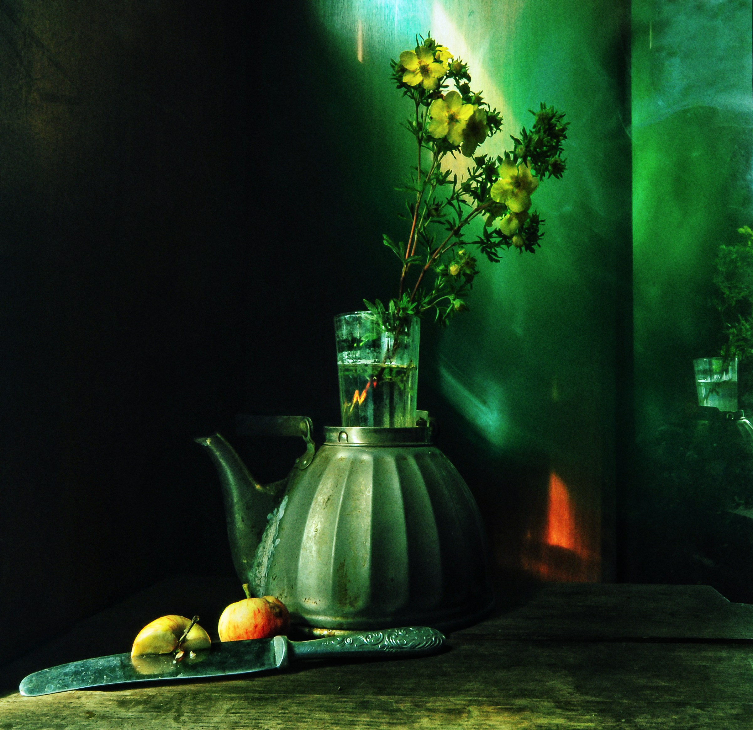 Архив. «Сквозь зелёные воды» Елена Харитонова. Музей истории фотографии в Санкт-Петербурге