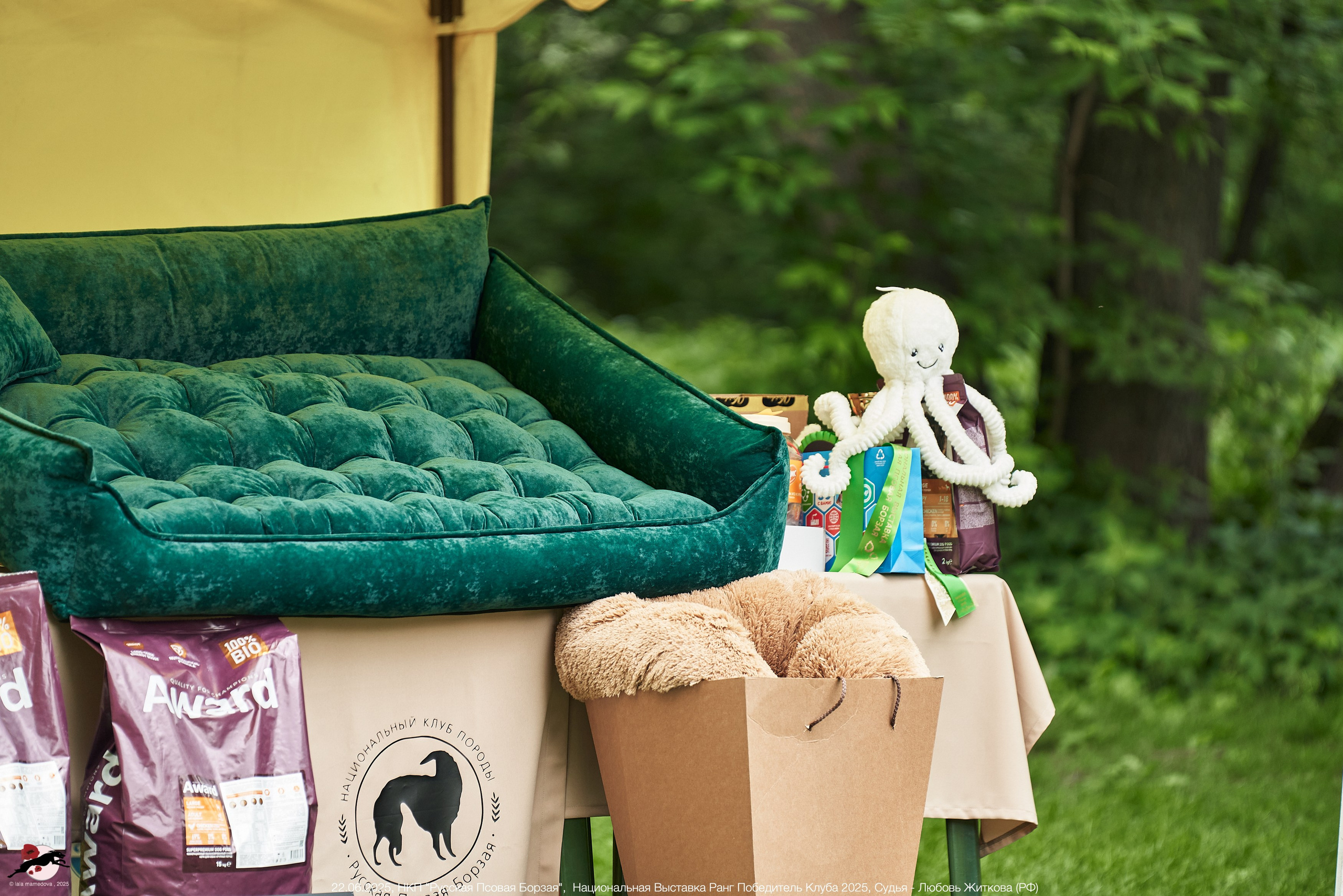 22.06.2025 | Национальная Выставка НКП "Русская Псовая Борзая"