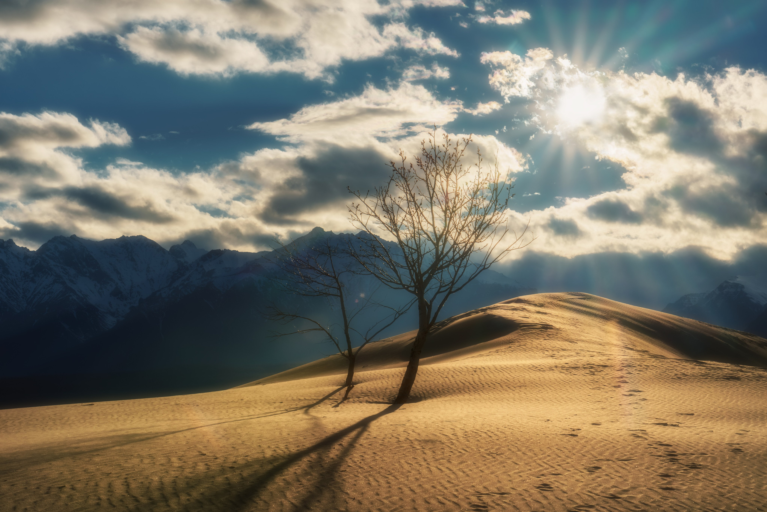 Хребет Кодар