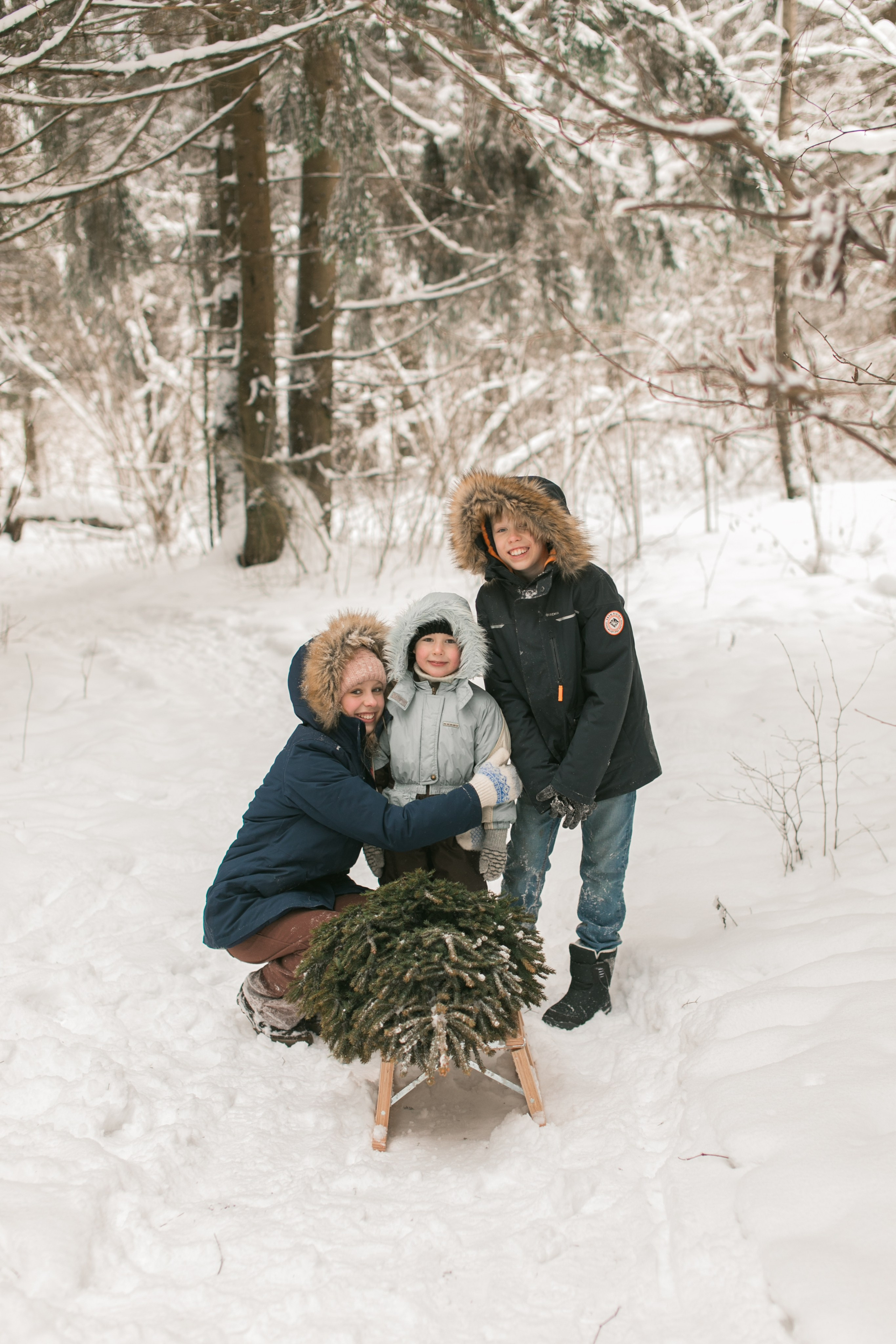 5 мест где провести Новогоднюю Фотосессию. Семейный фотограф в Москве Домодедово Московцева Алина