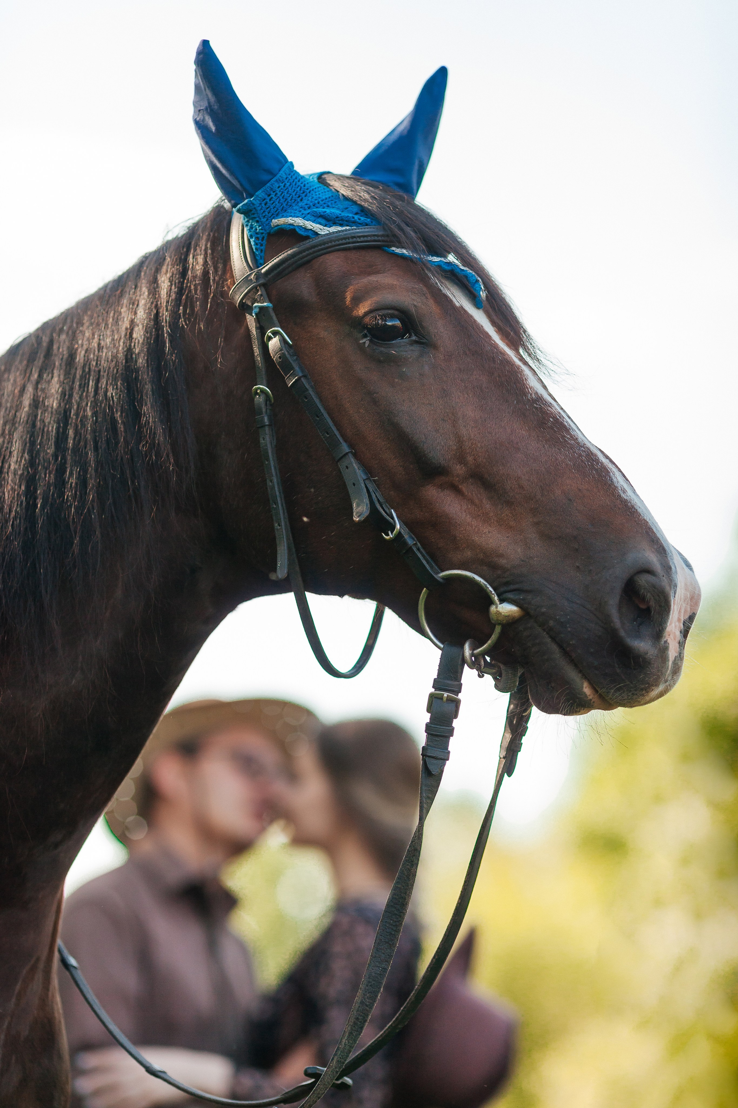 Конюшня Съемка с лошадью Поездки верхом Фотографии на память