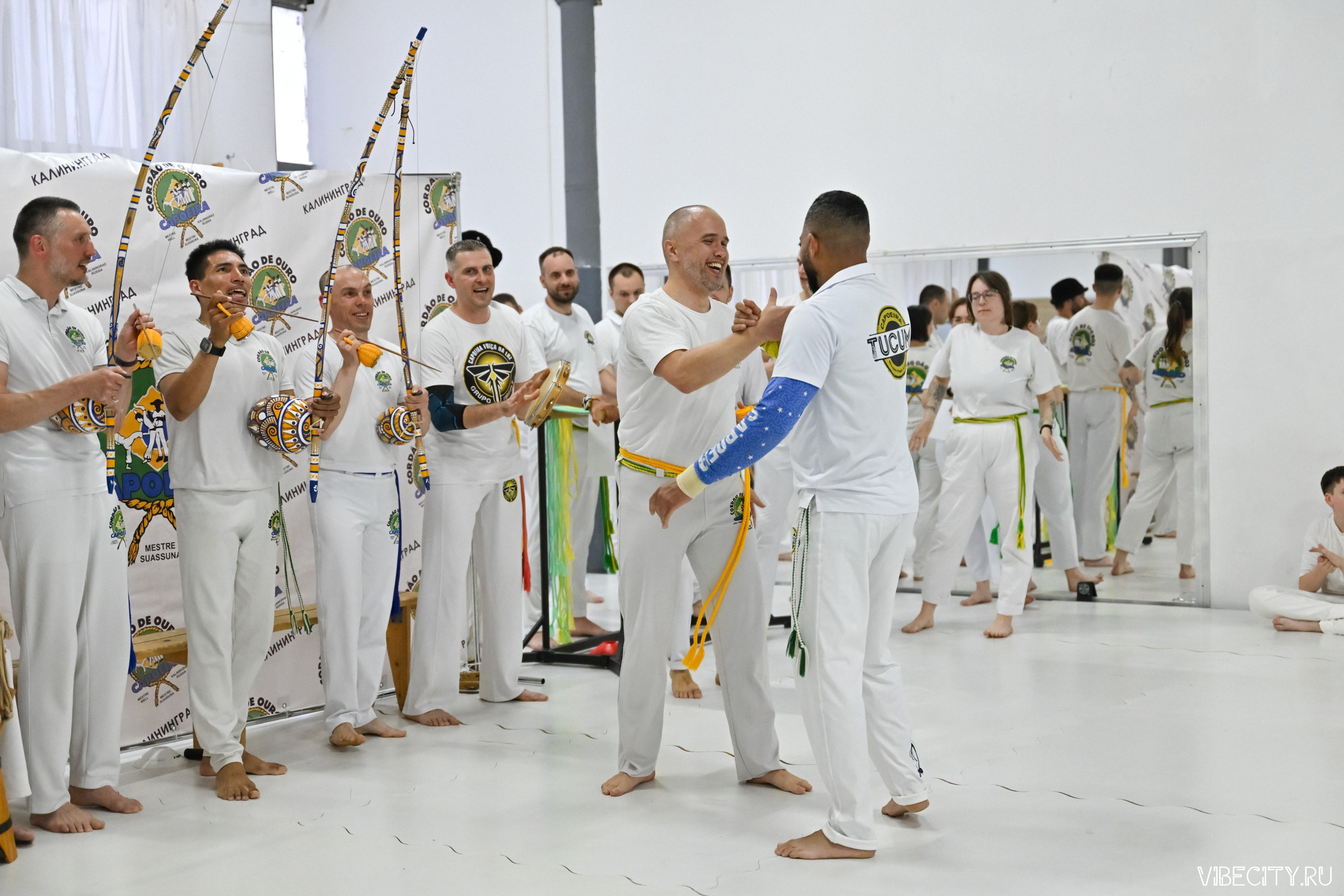 Capoeira: 4-е batizado e Troca de cordao. VIBECITY.RU Вайб Сити Ру Фоторепортажи Фотоотчеты Калининград