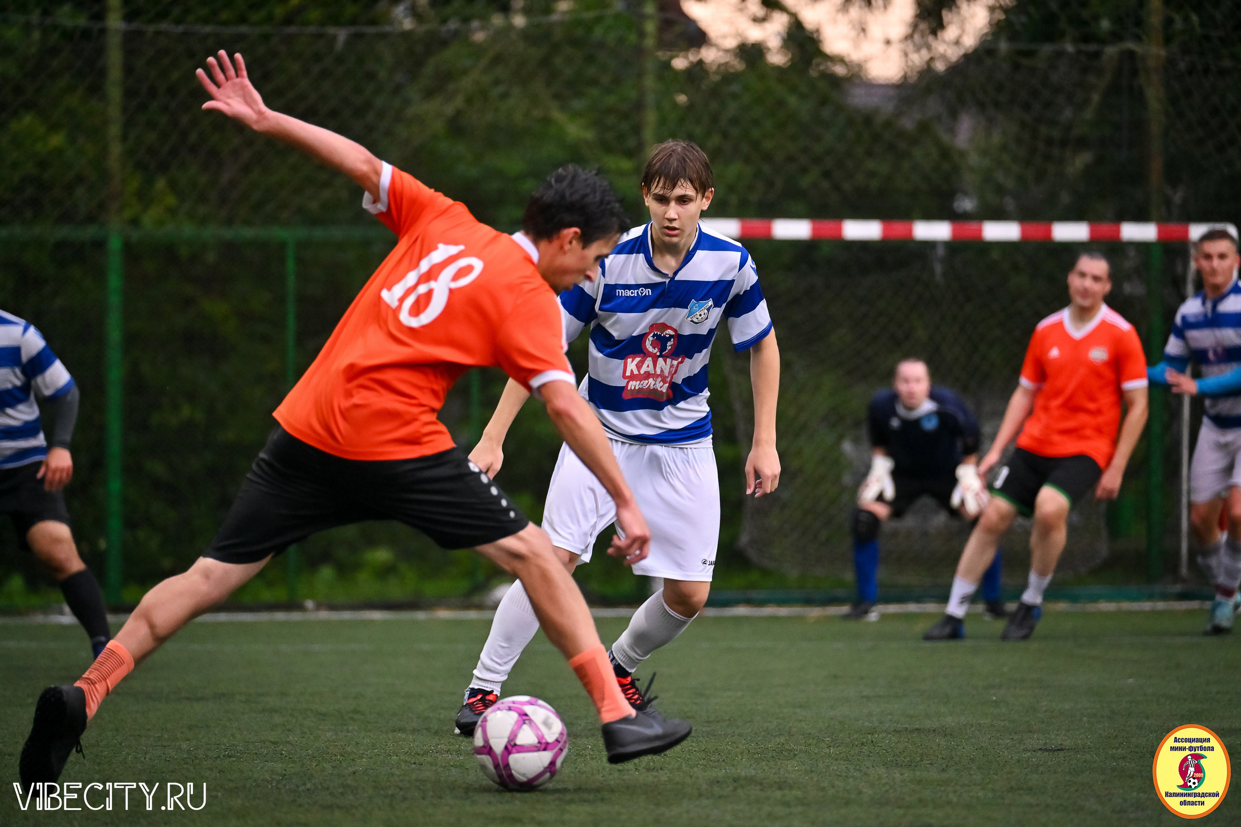 ИГРЫ МИНИ-ФУТБОЛЬНОЙ И КОРПОРАТИВНОЙ ЛИГИ. VIBECITY.RU Вайб Сити Ру Фоторепортажи Фотоотчеты Калининград