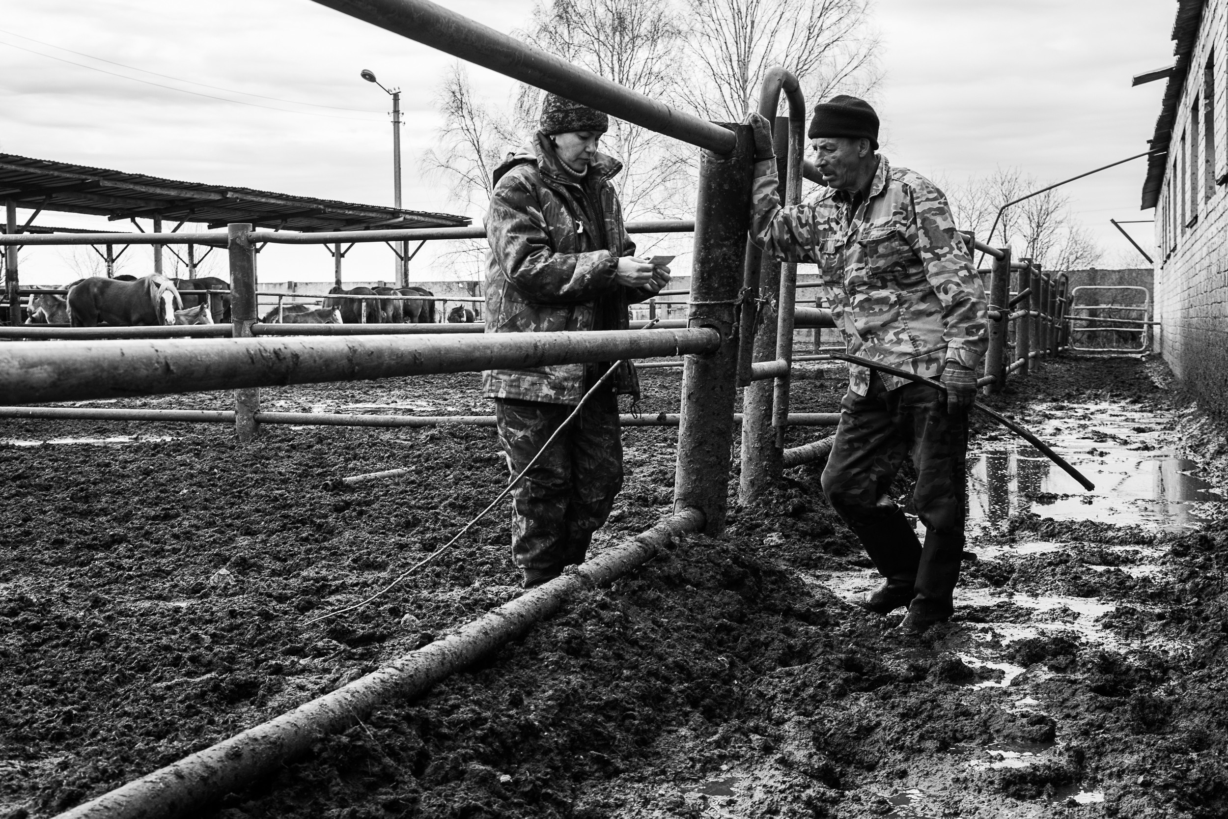 Документальный фотопроект о ветеринаре из Йошкар Олы. Татьяна Корчагина. Фотограф, художник. Обучение фотографии