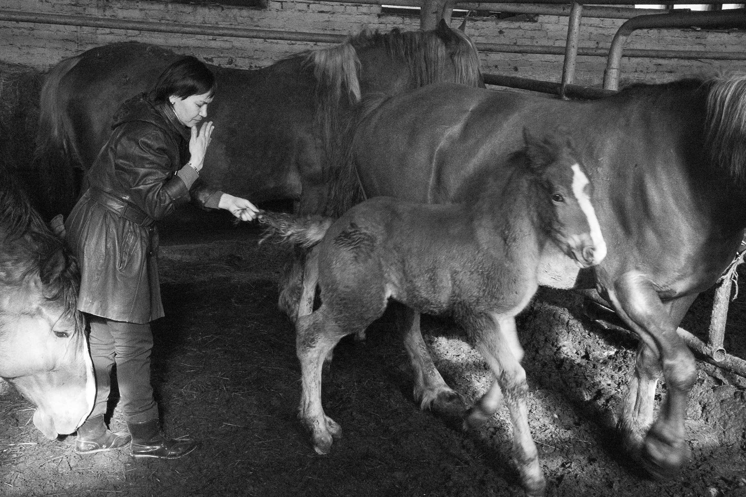 Документальный фотопроект о ветеринаре из Йошкар Олы. Татьяна Корчагина. Фотограф, художник. Обучение фотографии