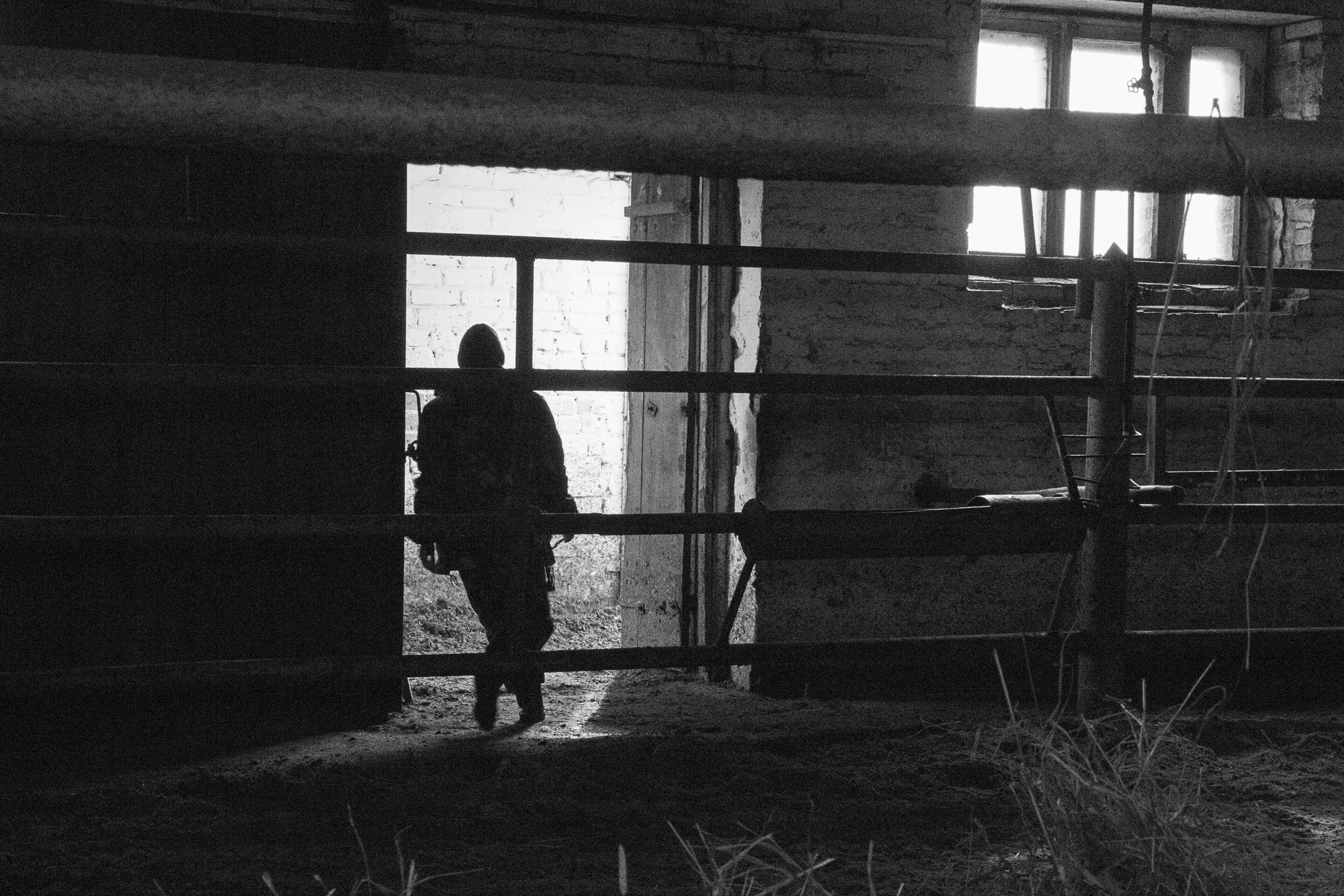 Документальный фотопроект о ветеринаре из Йошкар Олы. Татьяна Корчагина. Фотограф, художник. Обучение фотографии