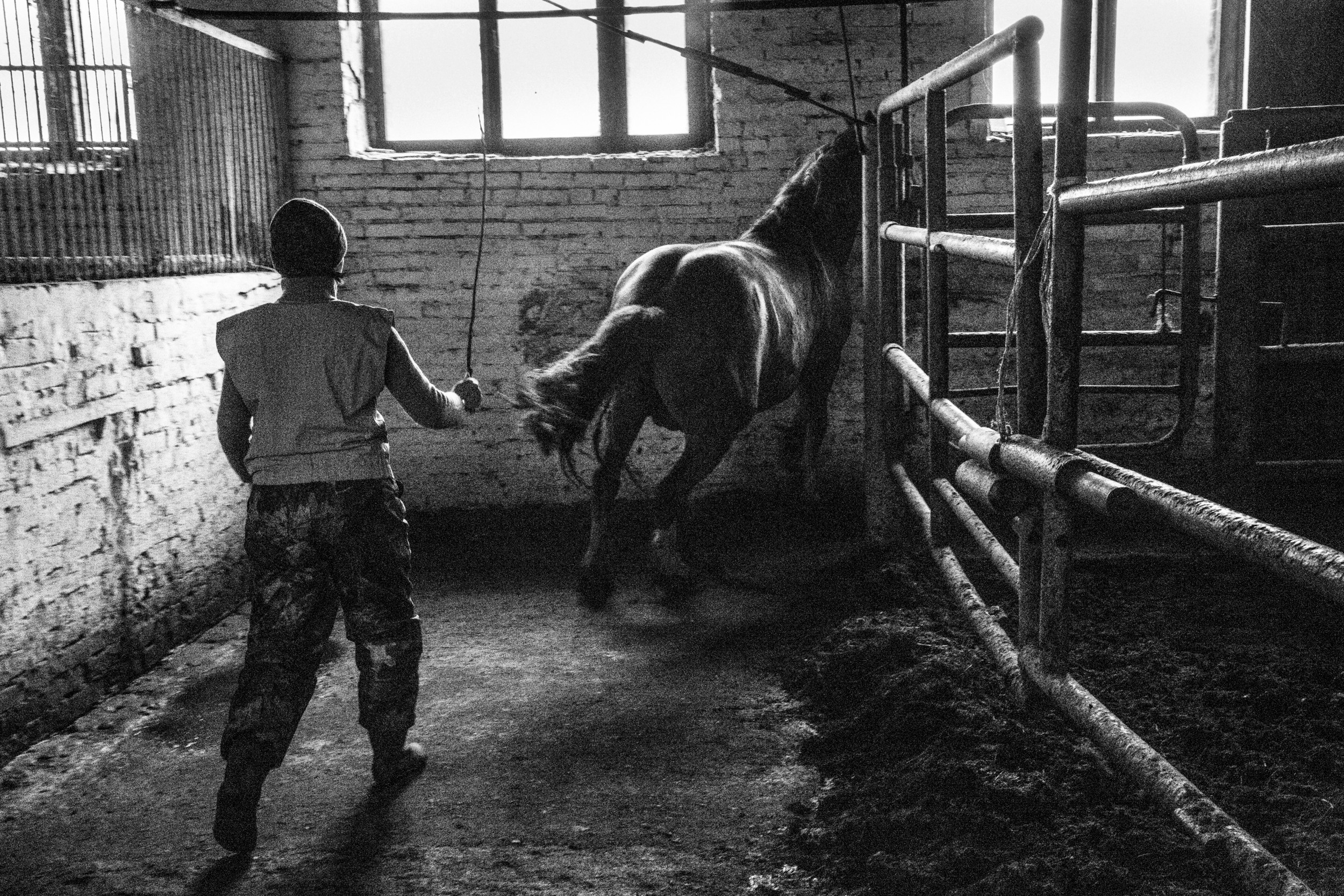 Документальный фотопроект о ветеринаре из Йошкар Олы. Татьяна Корчагина. Фотограф, художник. Обучение фотографии