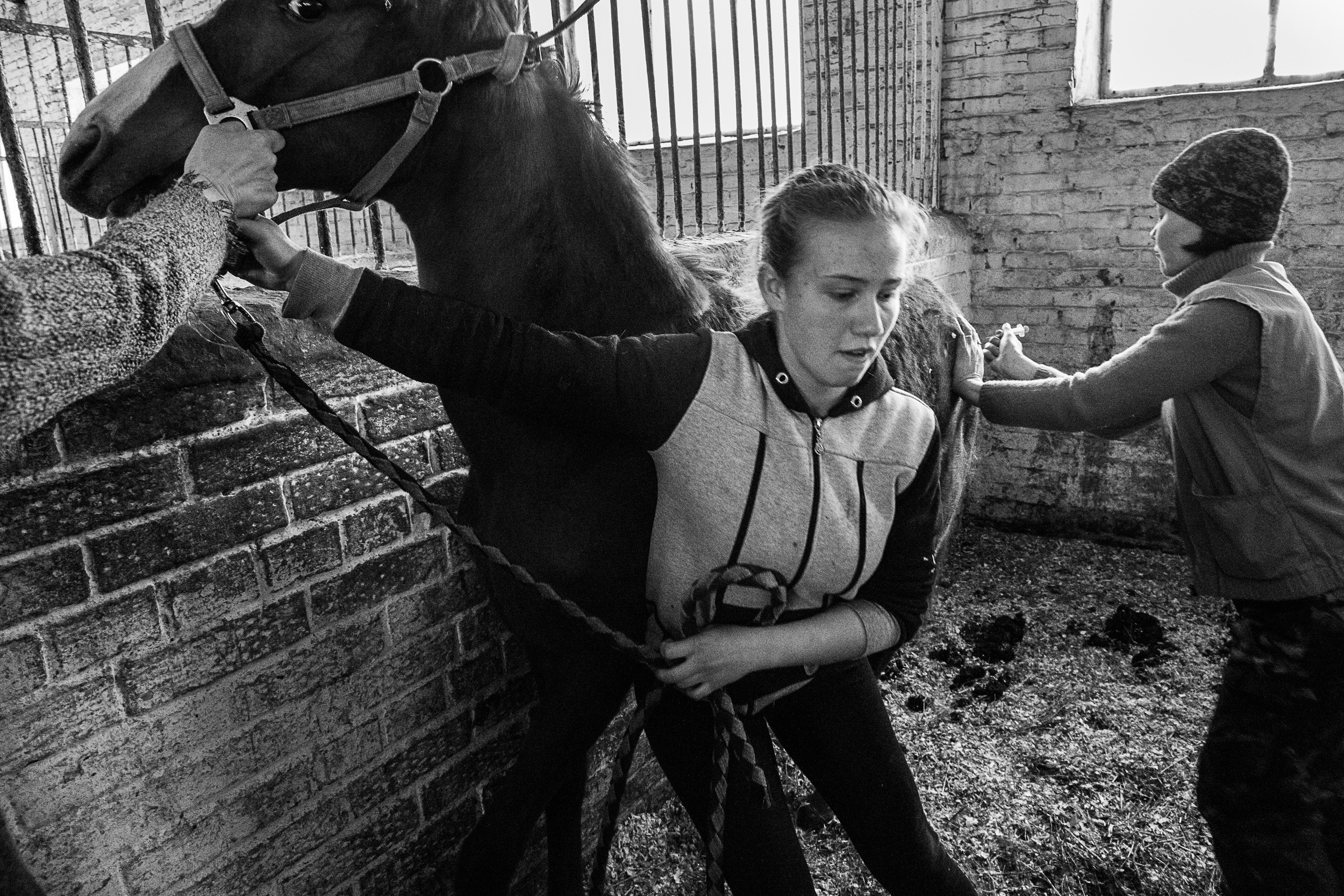 Документальный фотопроект о ветеринаре из Йошкар Олы. Татьяна Корчагина. Фотограф, художник. Обучение фотографии