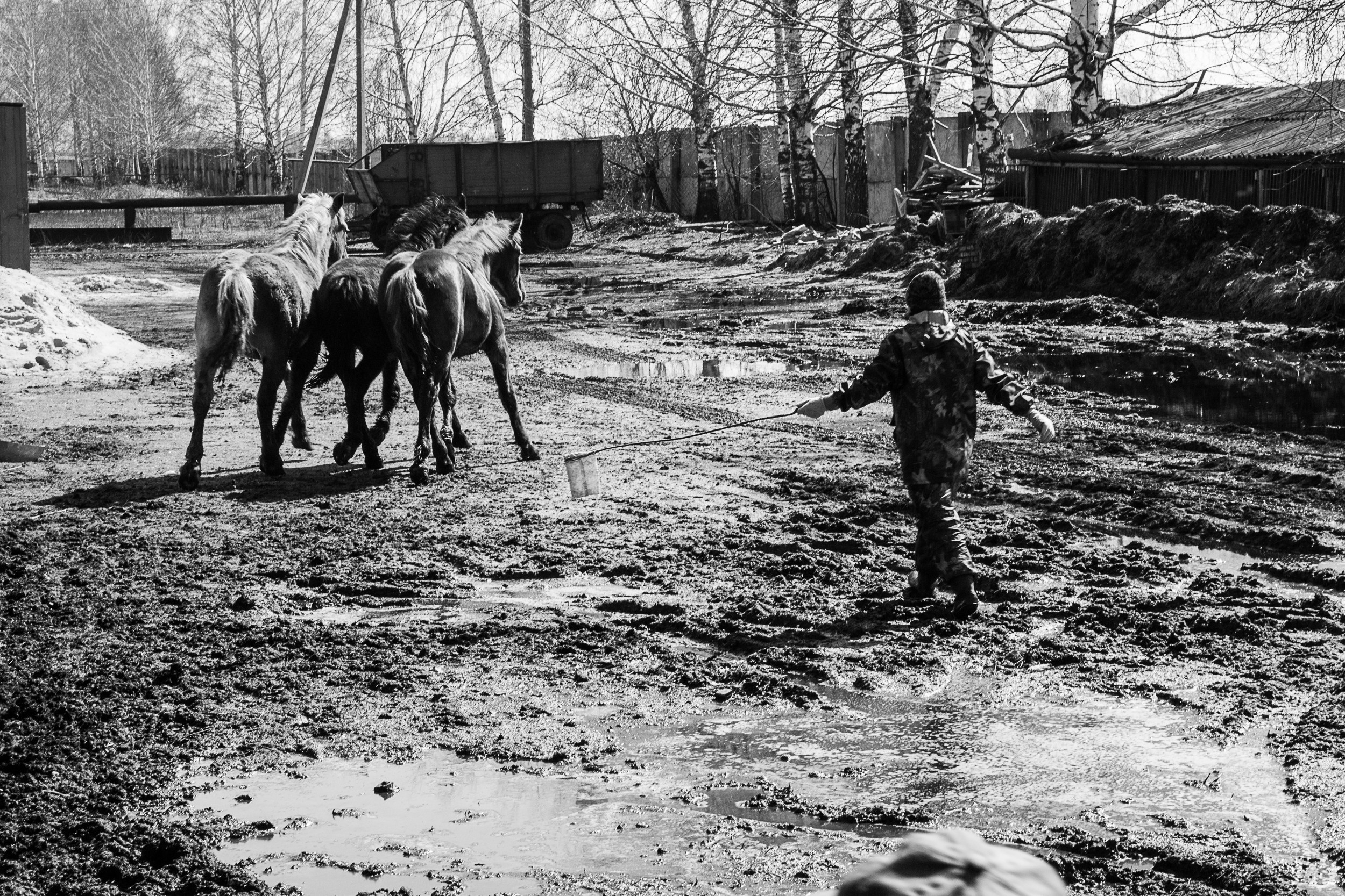 Документальный фотопроект о ветеринаре из Йошкар Олы. Татьяна Корчагина. Фотограф, художник. Обучение фотографии