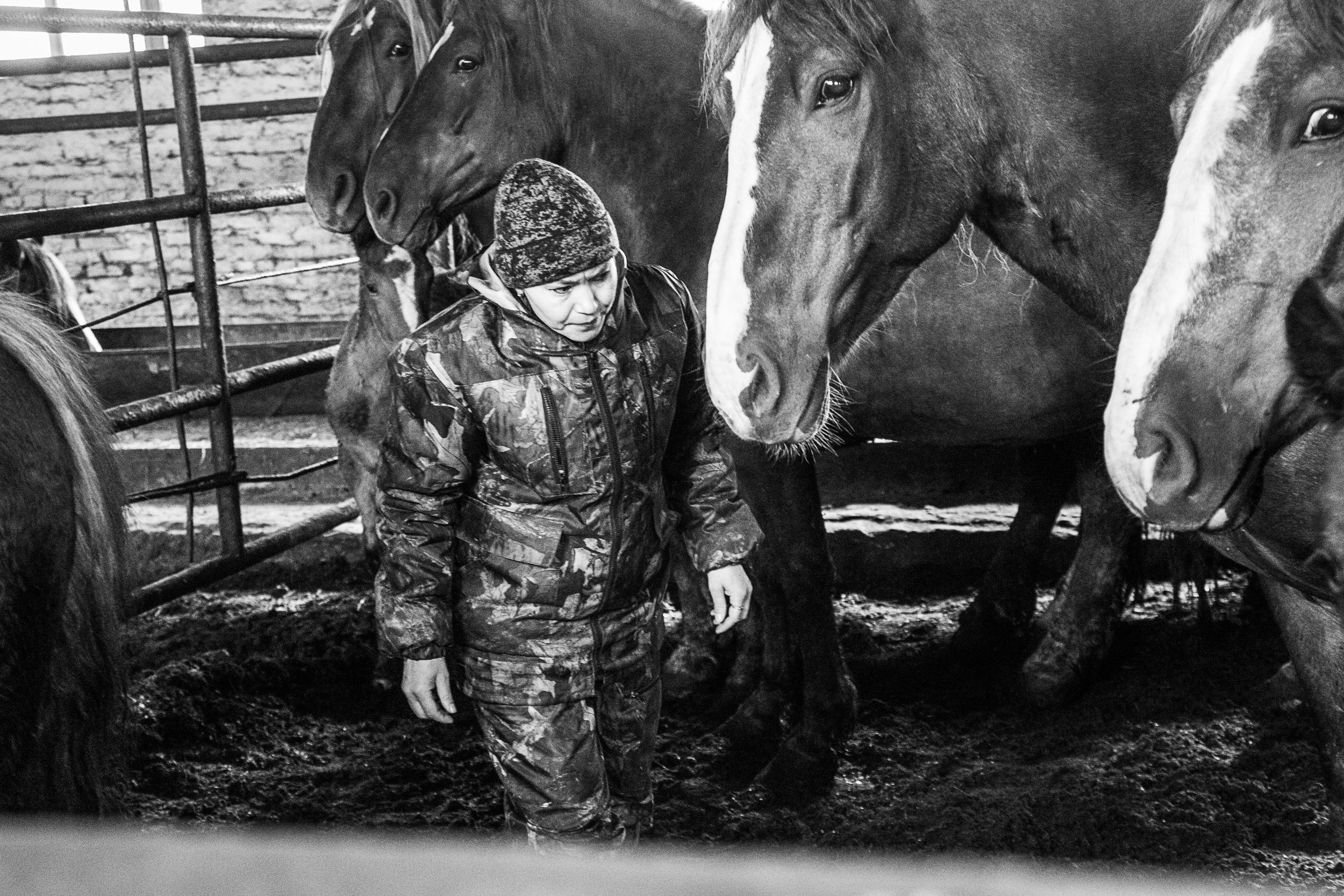 Документальный фотопроект о ветеринаре из Йошкар Олы. Татьяна Корчагина. Фотограф, художник. Обучение фотографии