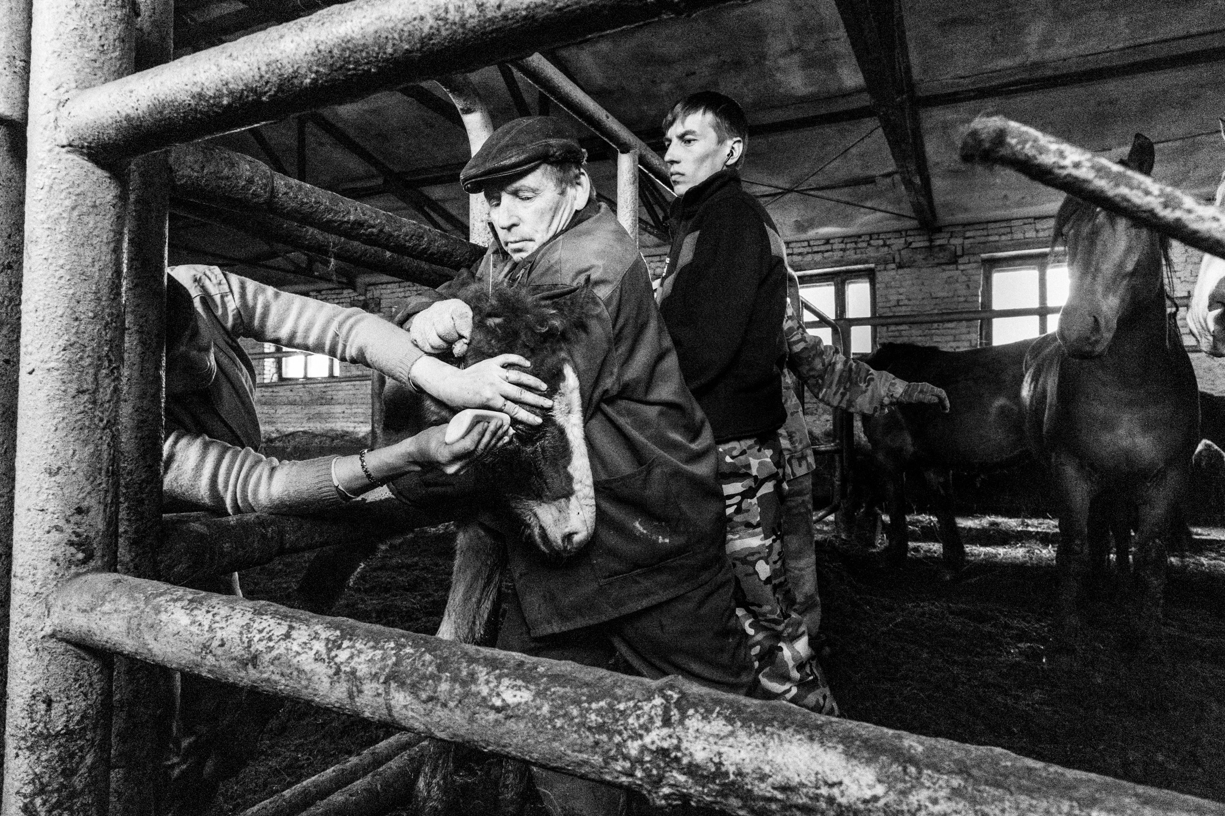 Документальный фотопроект о ветеринаре из Йошкар Олы. Татьяна Корчагина. Фотограф, художник. Обучение фотографии