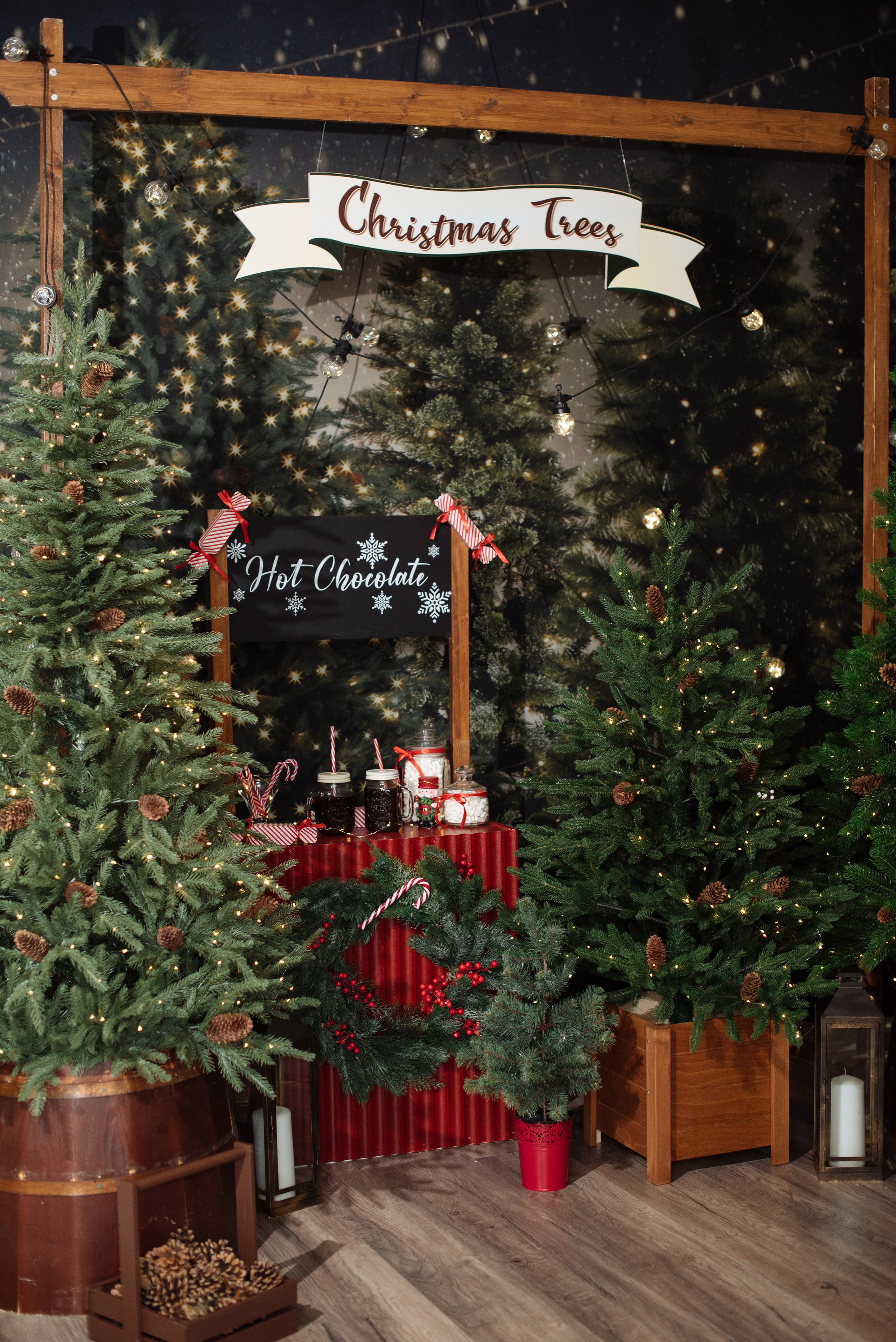 Студии. Свадебный и женский фотограф в Таганроге Лена Сетян