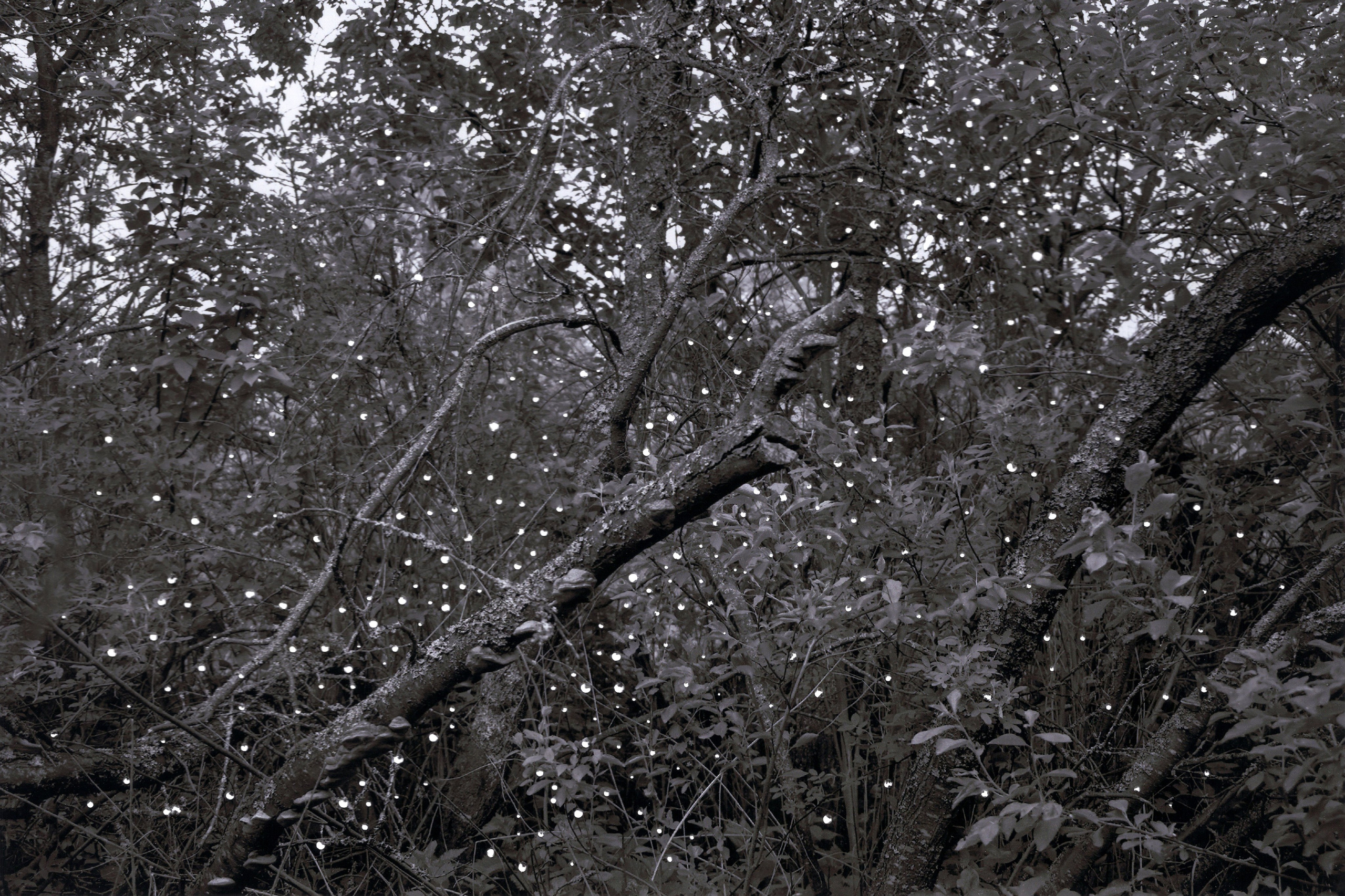 По ту сторону. Главная