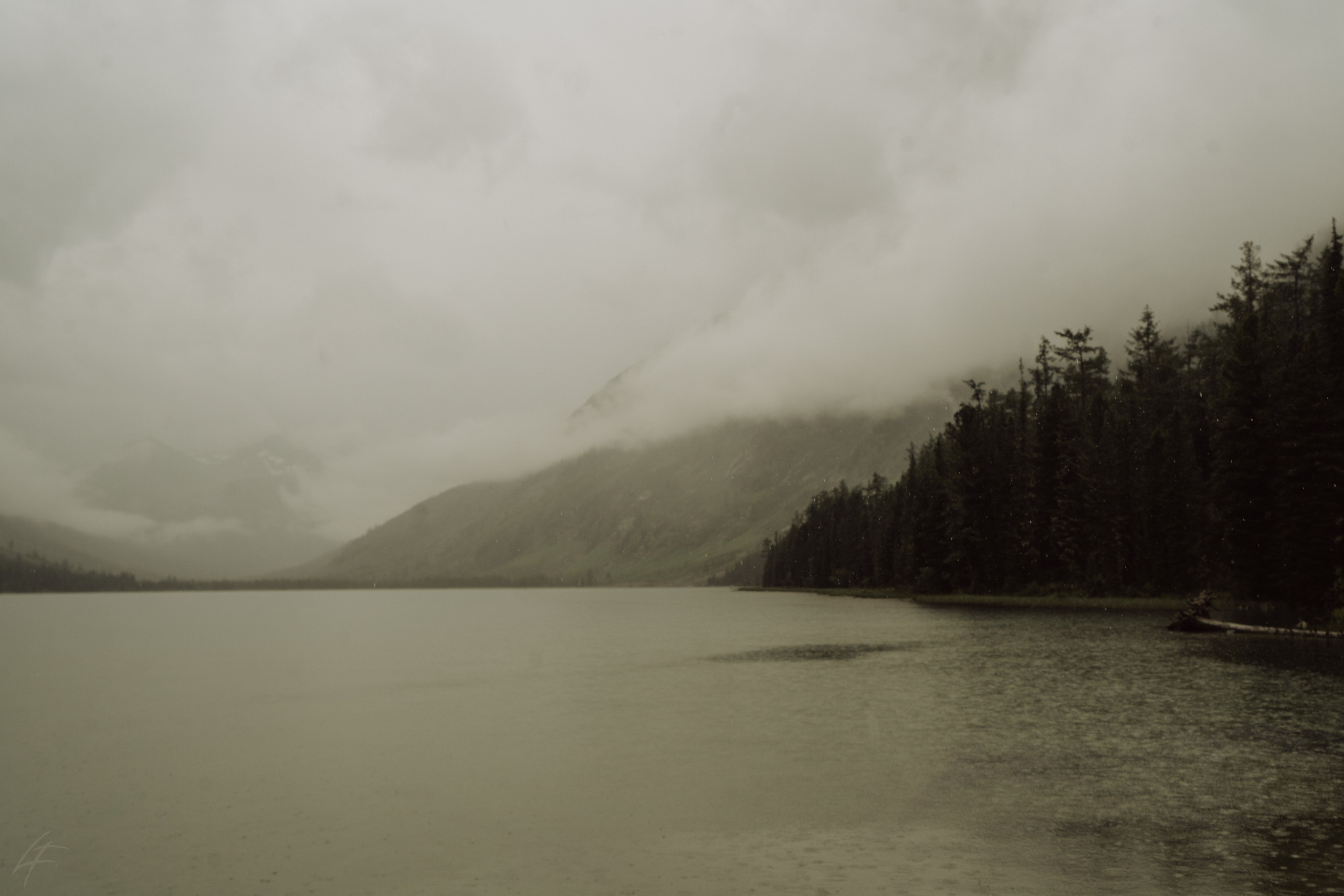 Алтай 2025. Лиза Фирстова