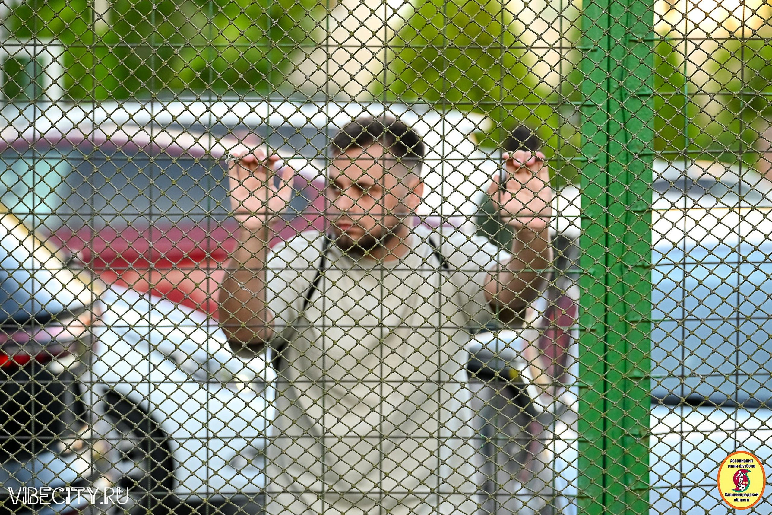 ИГРЫ МИНИ-ФУТБОЛЬНОЙ И КОРПОРАТИВНОЙ ЛИГИ. VIBECITY.RU Вайб Сити Ру Фоторепортажи Фотоотчеты Калининград