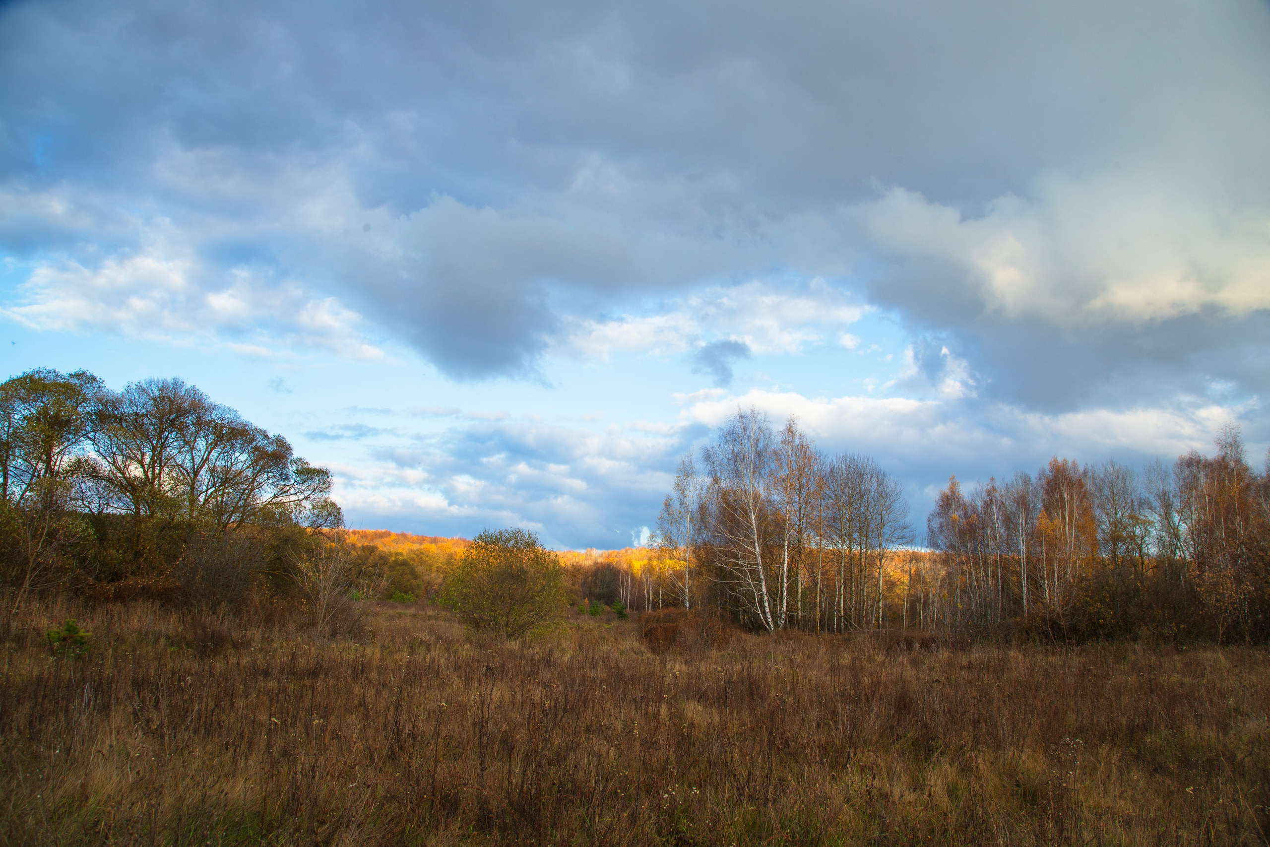 ТВОРЧЕСТВО. Творческая студия АЛНИфото