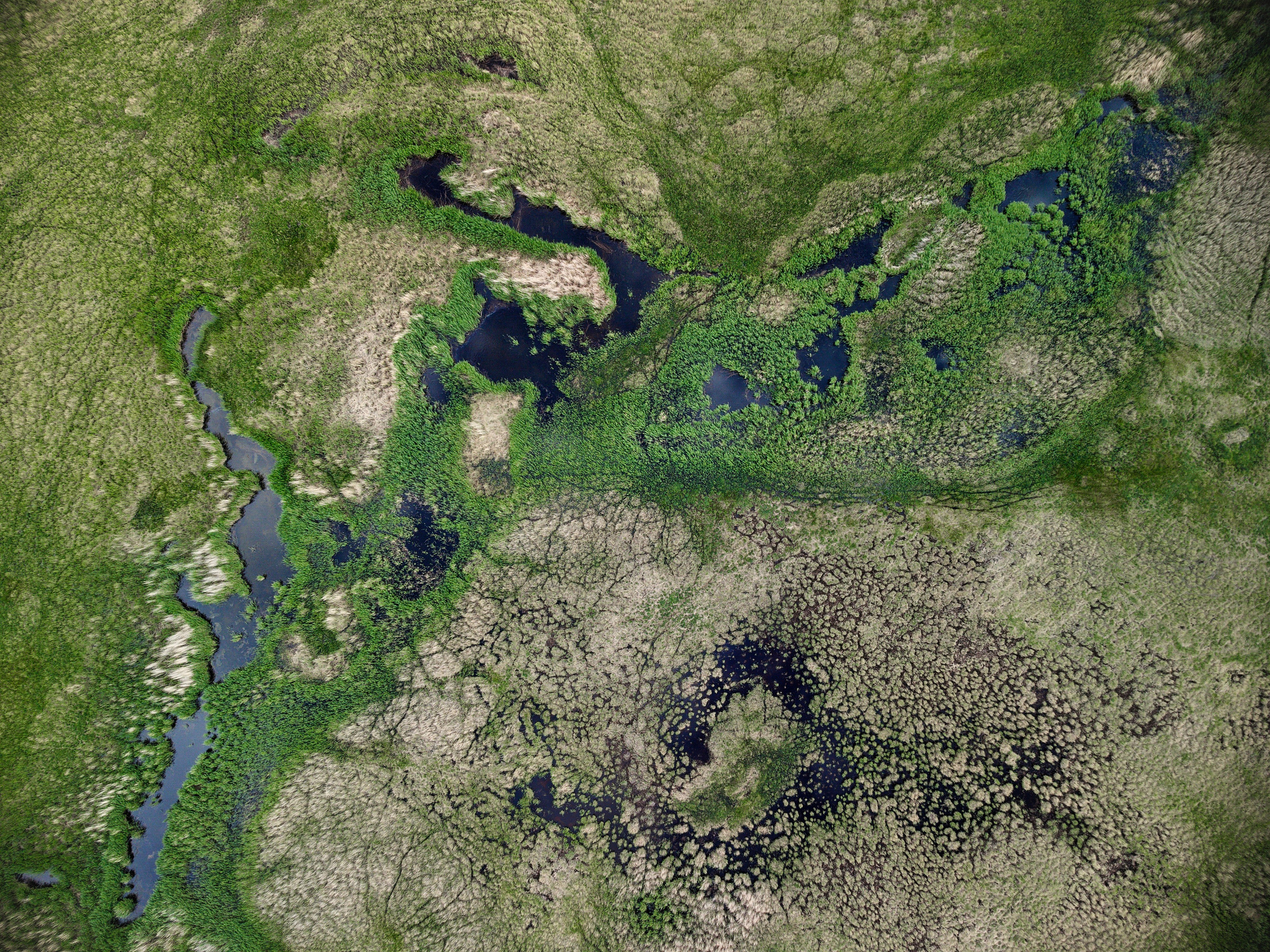 Экспедиция в Монголию (котловина больших озер). Семоха Валерий. Фотограф