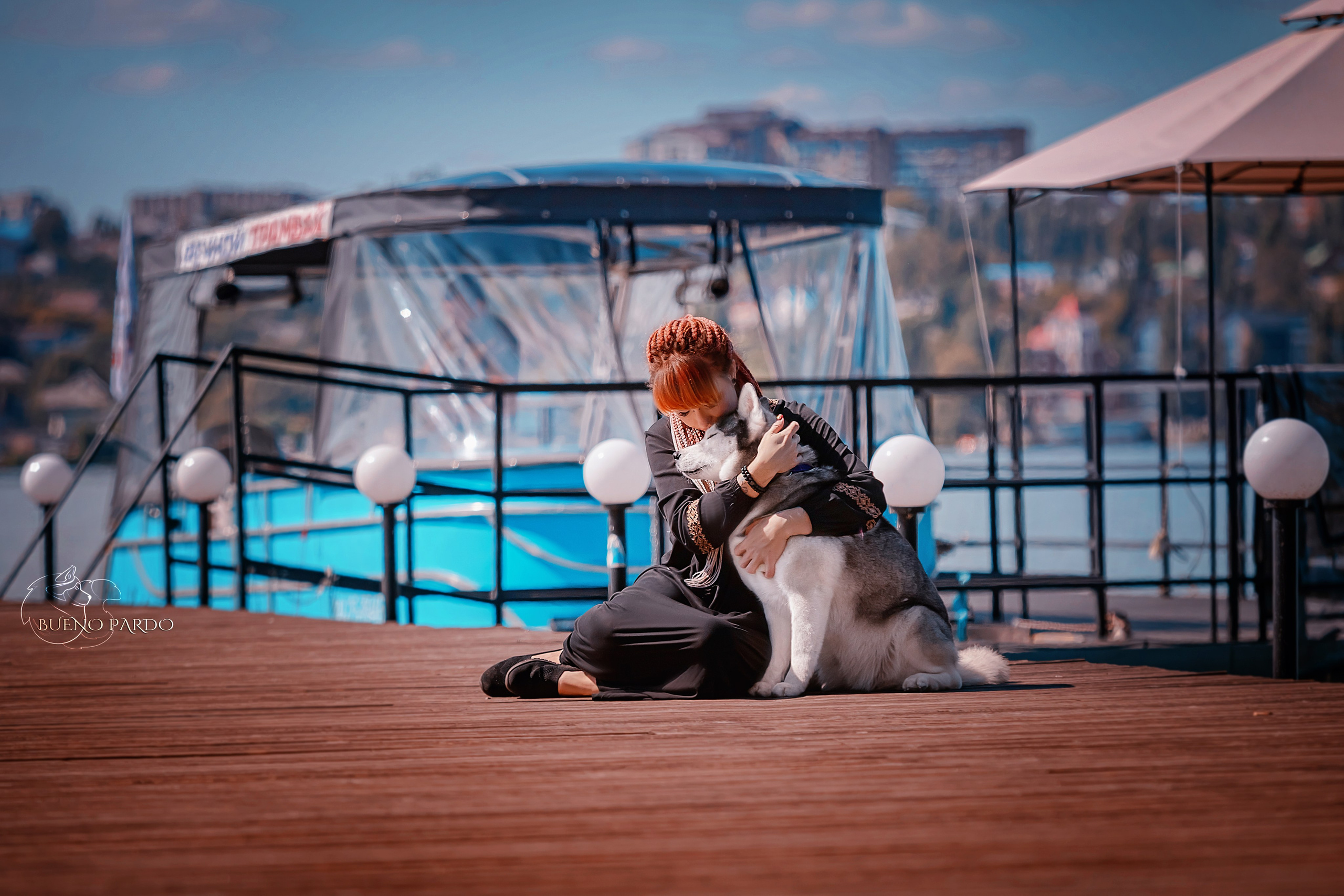 Собаки питомника Bueno Pardo. Питомник собак Акита, Хаски, Корги