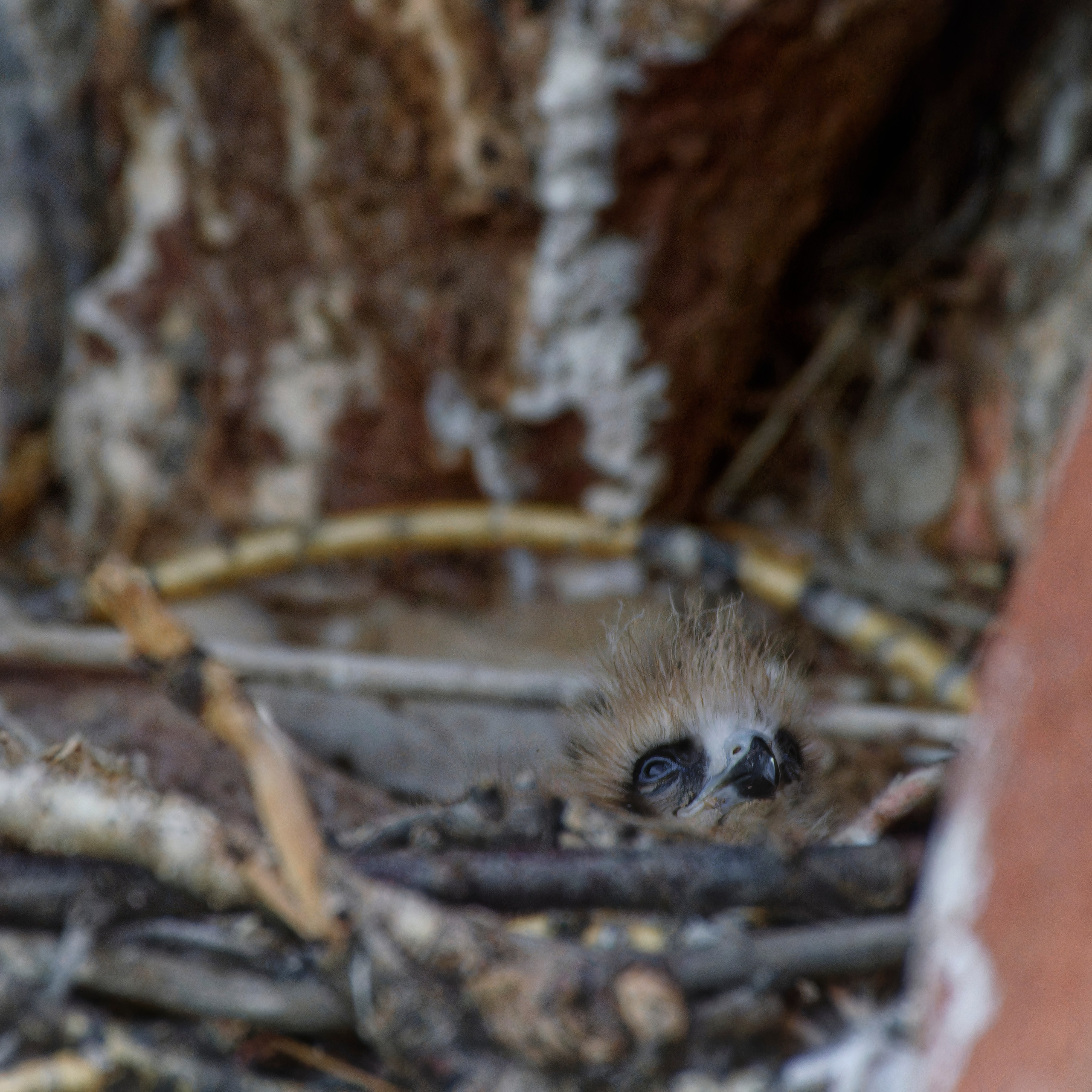 Экспедиция в Монголию (котловина больших озер). Семоха Валерий. Фотограф