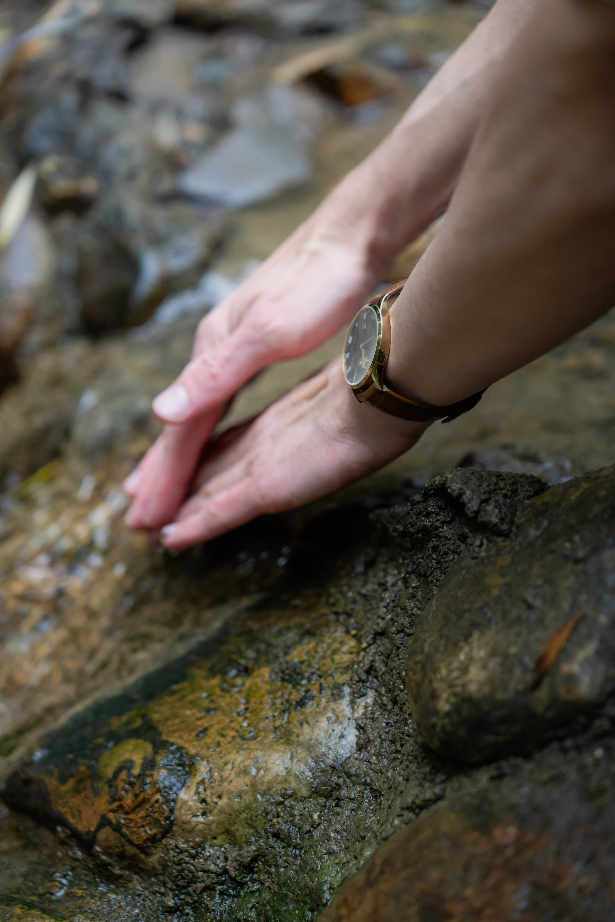 Фотограф в Москве