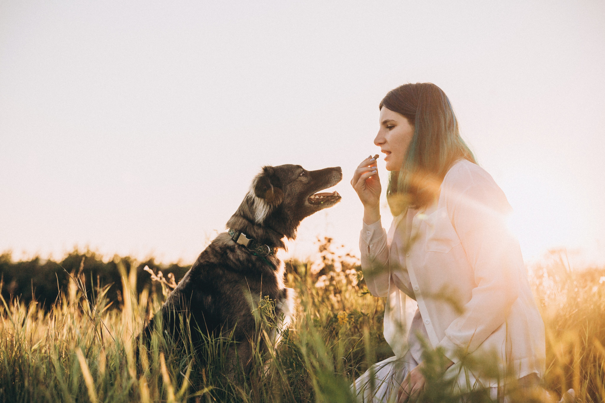 Фотограф-анималист в Москве Соломонова Варвара
