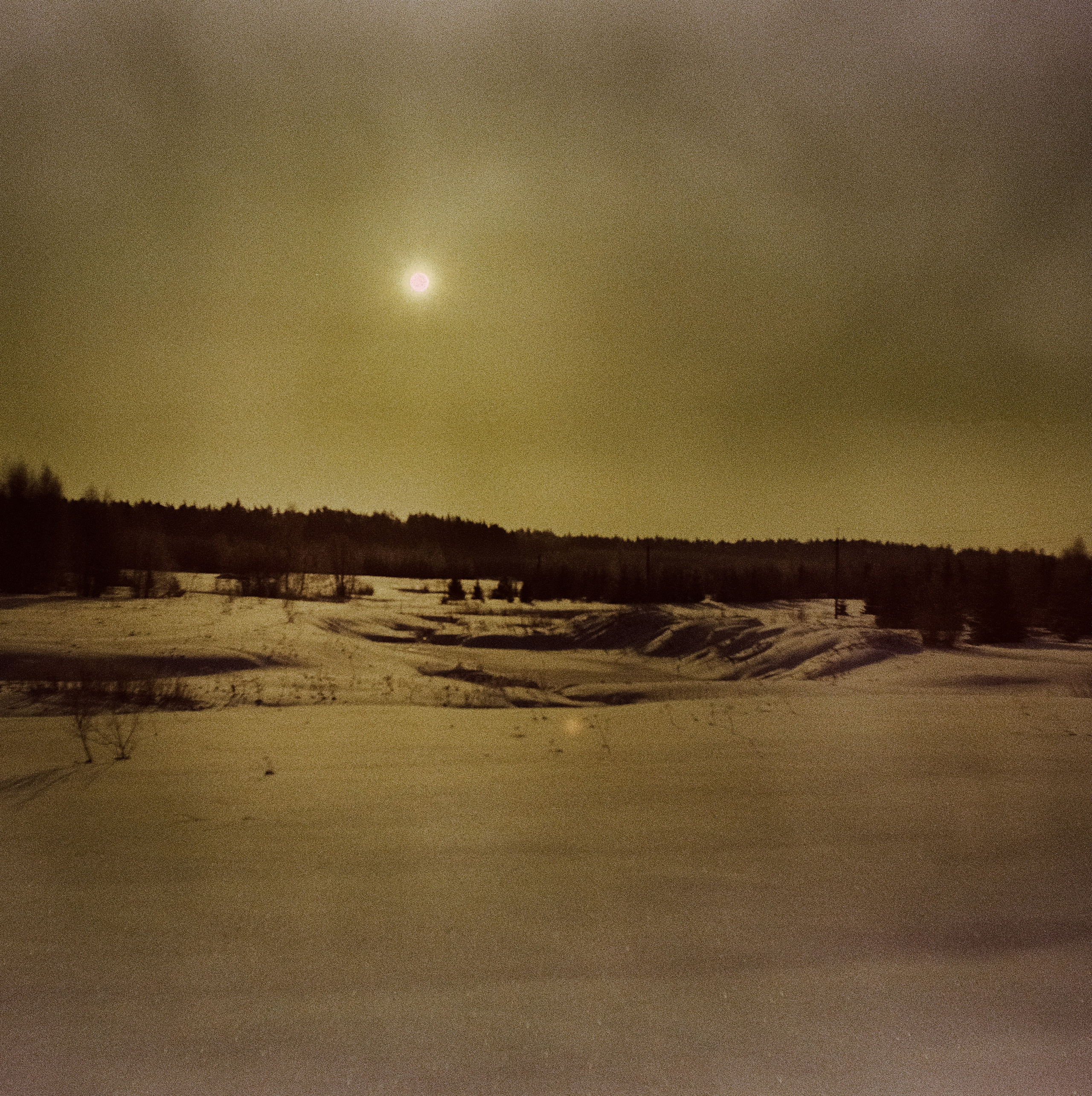 Kodak Ektachrome 64T / Franka Solida III / Архангельское, Лукино