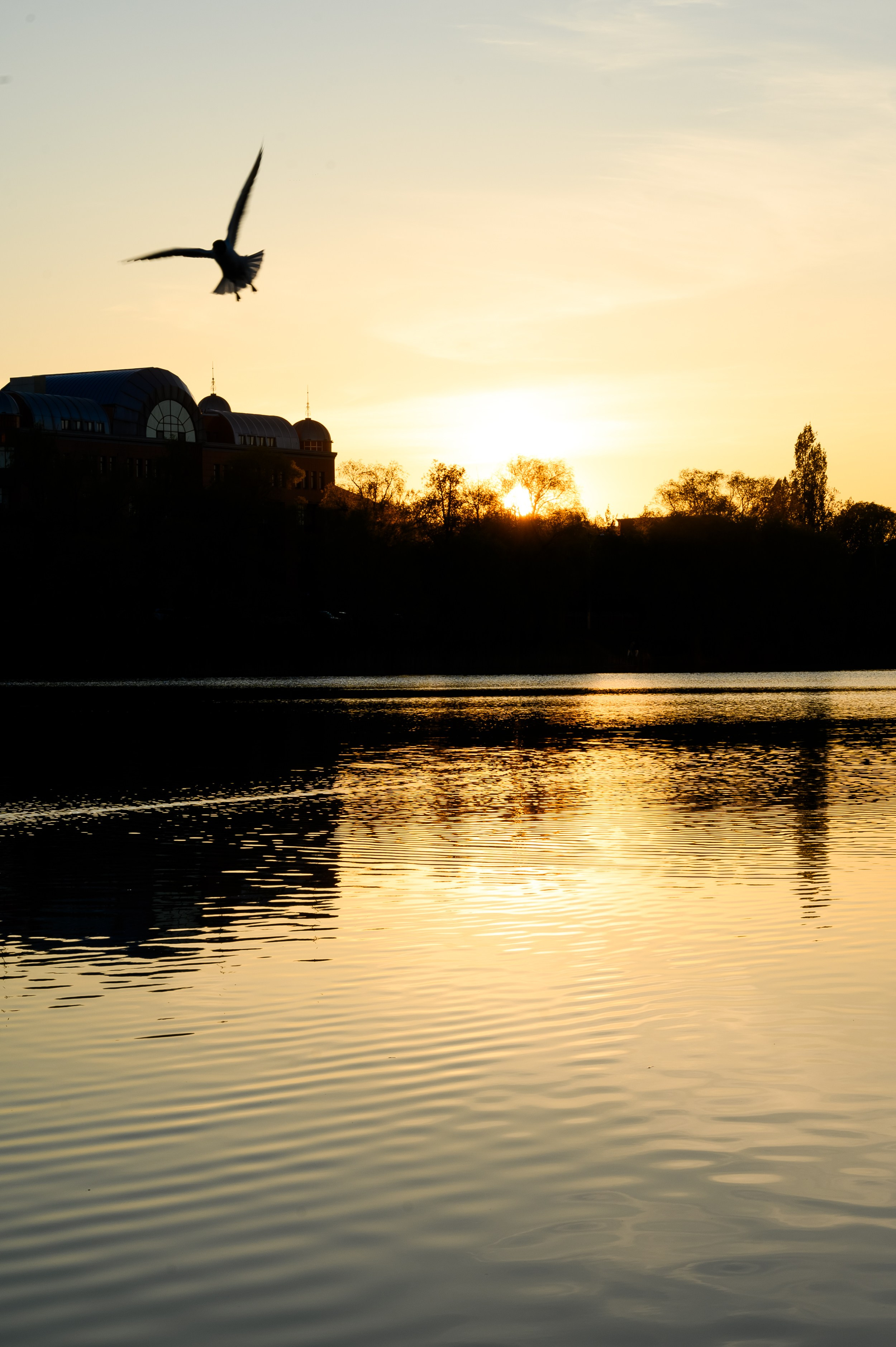 Городская фотосессия на набережной Кабана