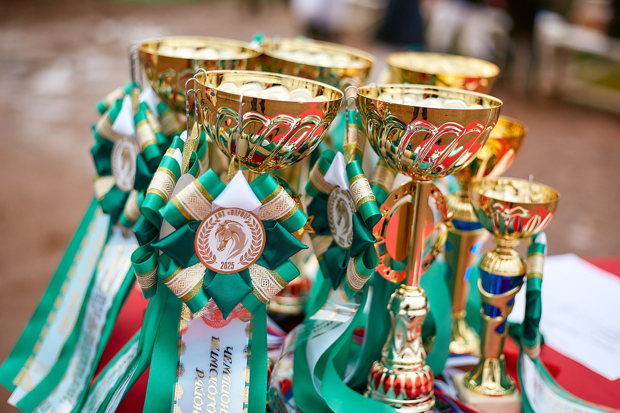 Выездка в КФК «Фарфор»