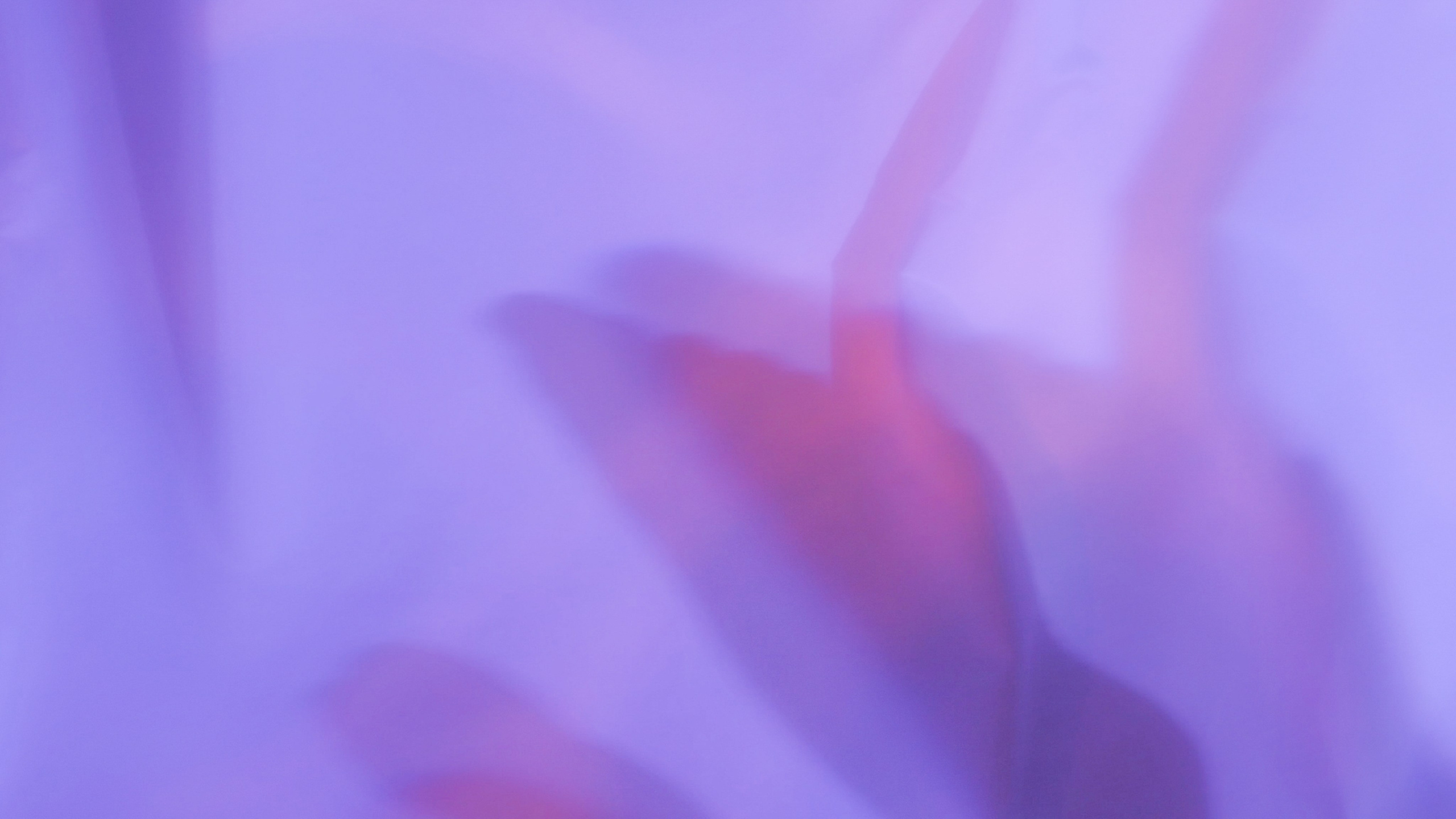 Insomnia. Eliza Ari | visual artist