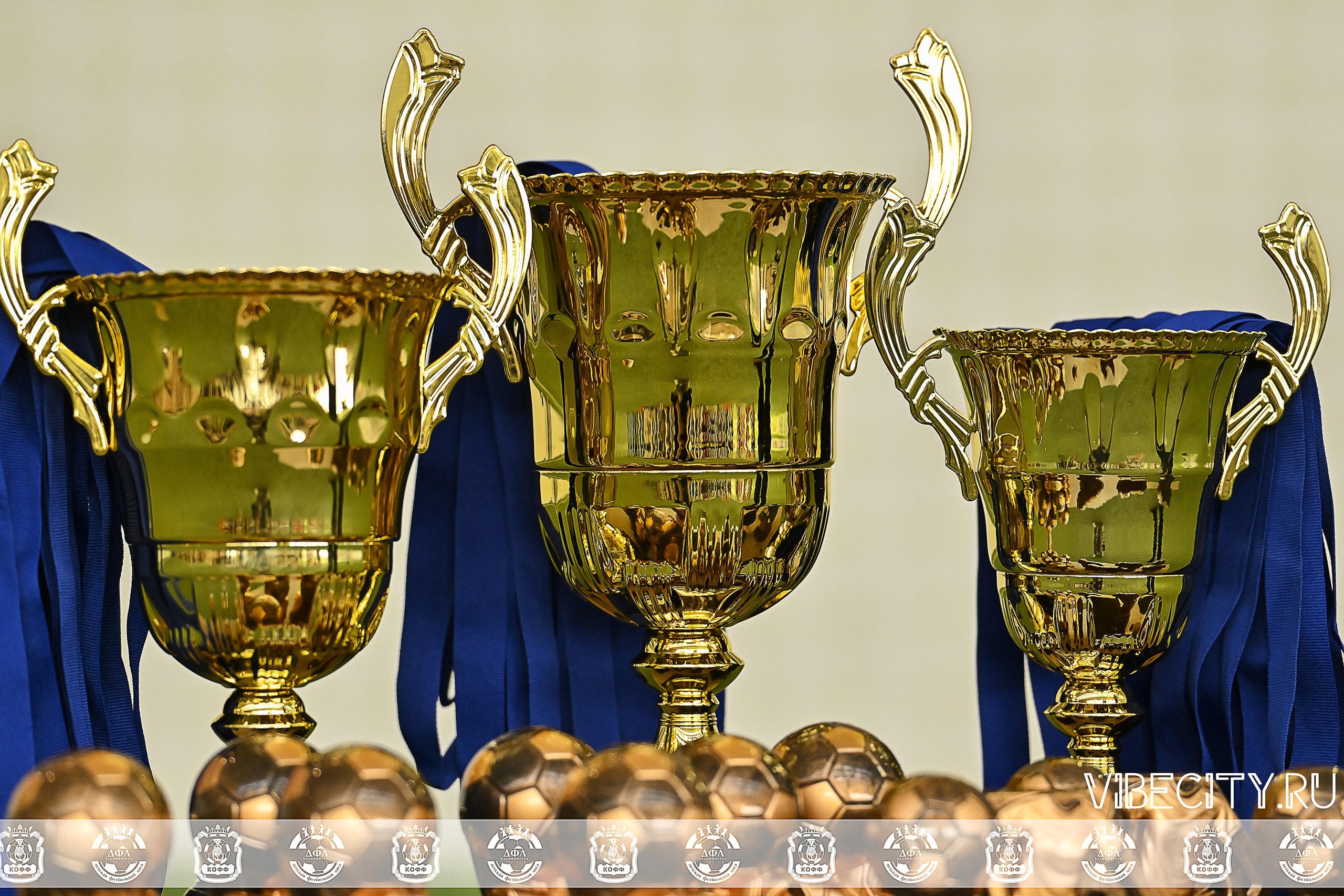 КУБОК БАЛТИЙСКОЙ ЛИГИ ПО МИНИ-ФУТБОЛУ U9 ЗЛ. VIBECITY.RU Вайб Сити Ру Фоторепортажи Фотоотчеты Калининград