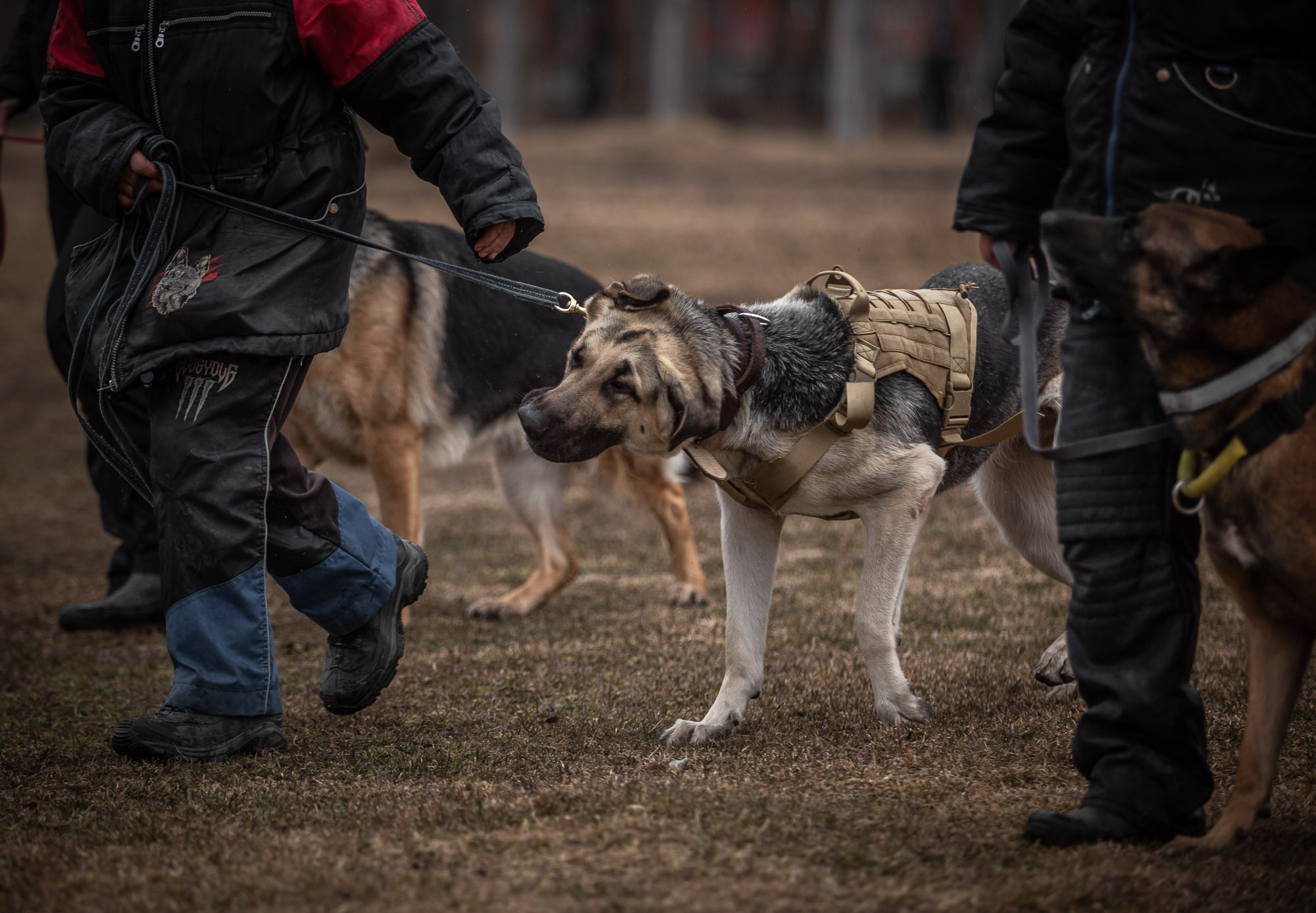 Репетиция. Фотограф — путешественник Светлана Романовская