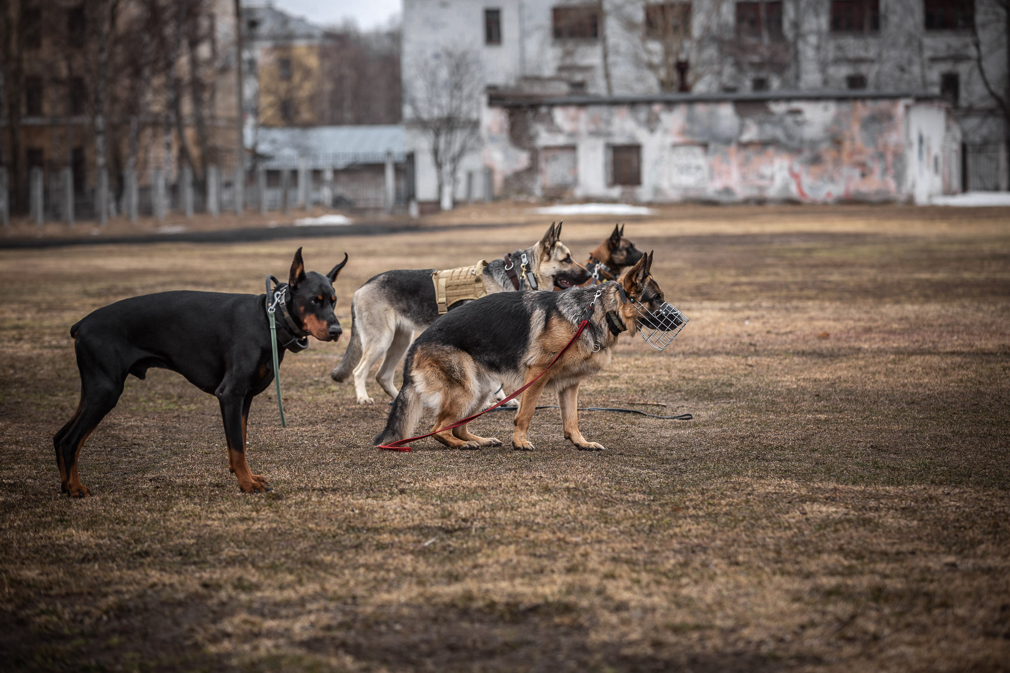 Репетиция. Фотограф — путешественник Светлана Романовская