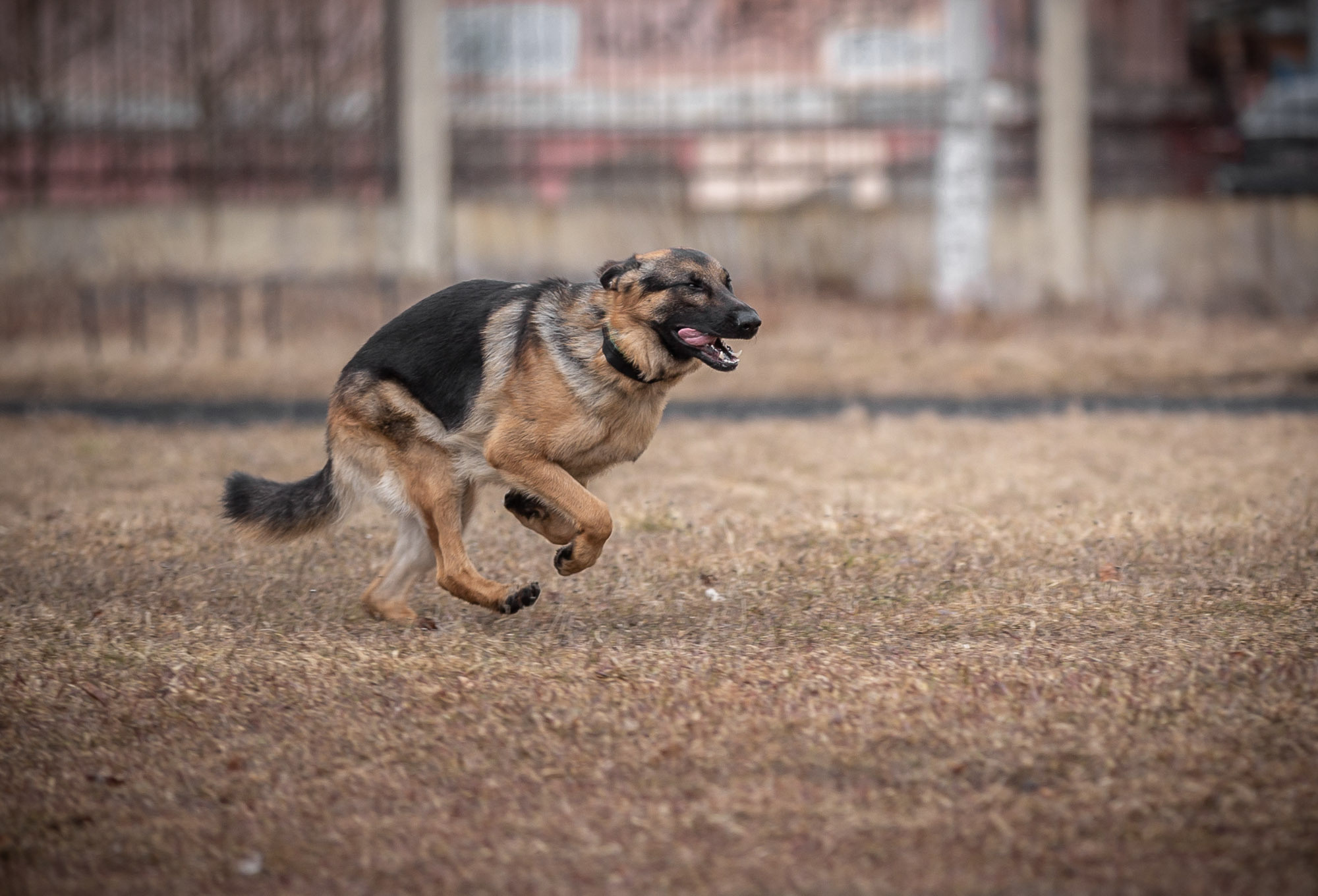 Репетиция. Фотограф — путешественник Светлана Романовская
