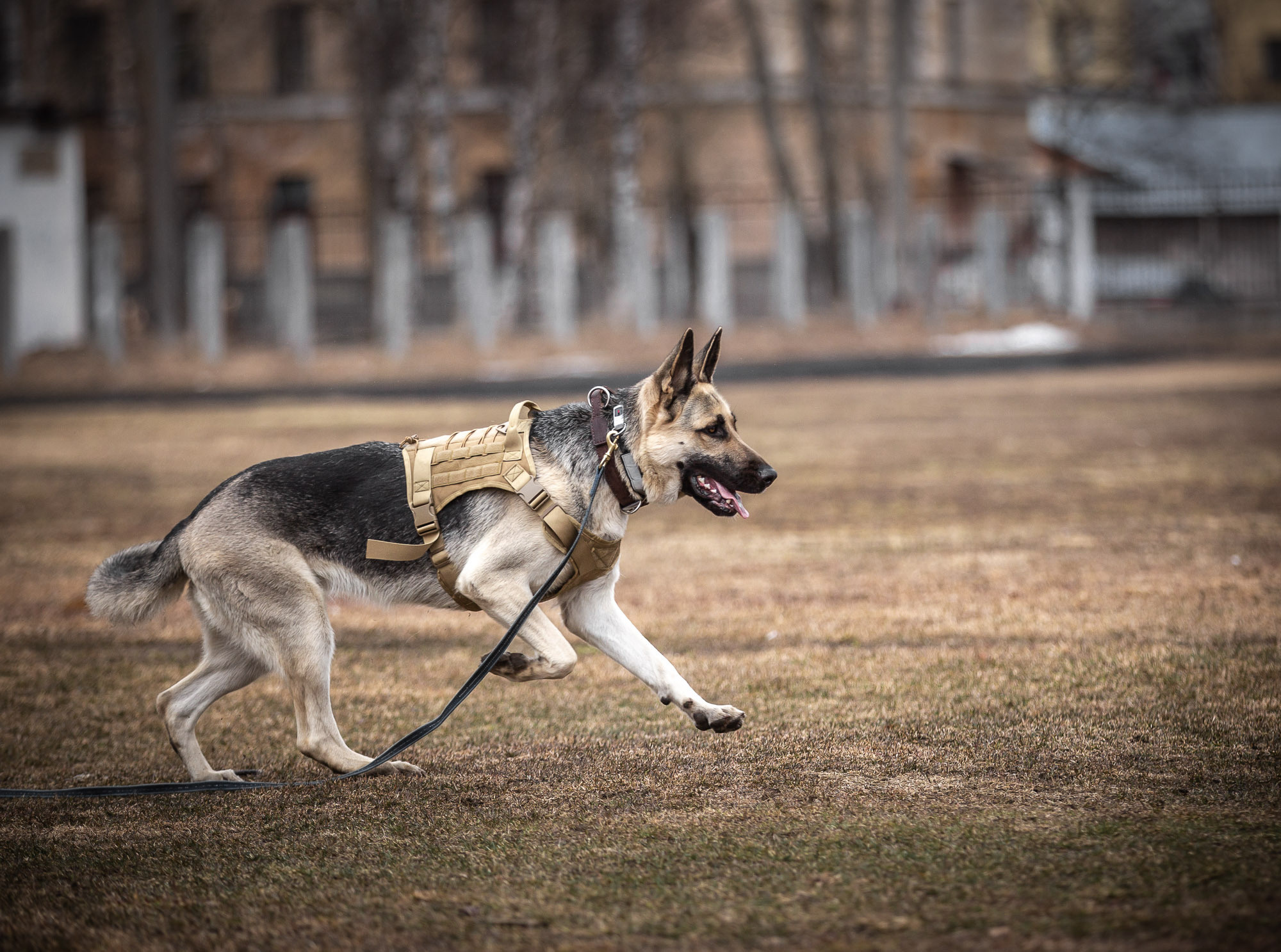 Репетиция. Фотограф — путешественник Светлана Романовская