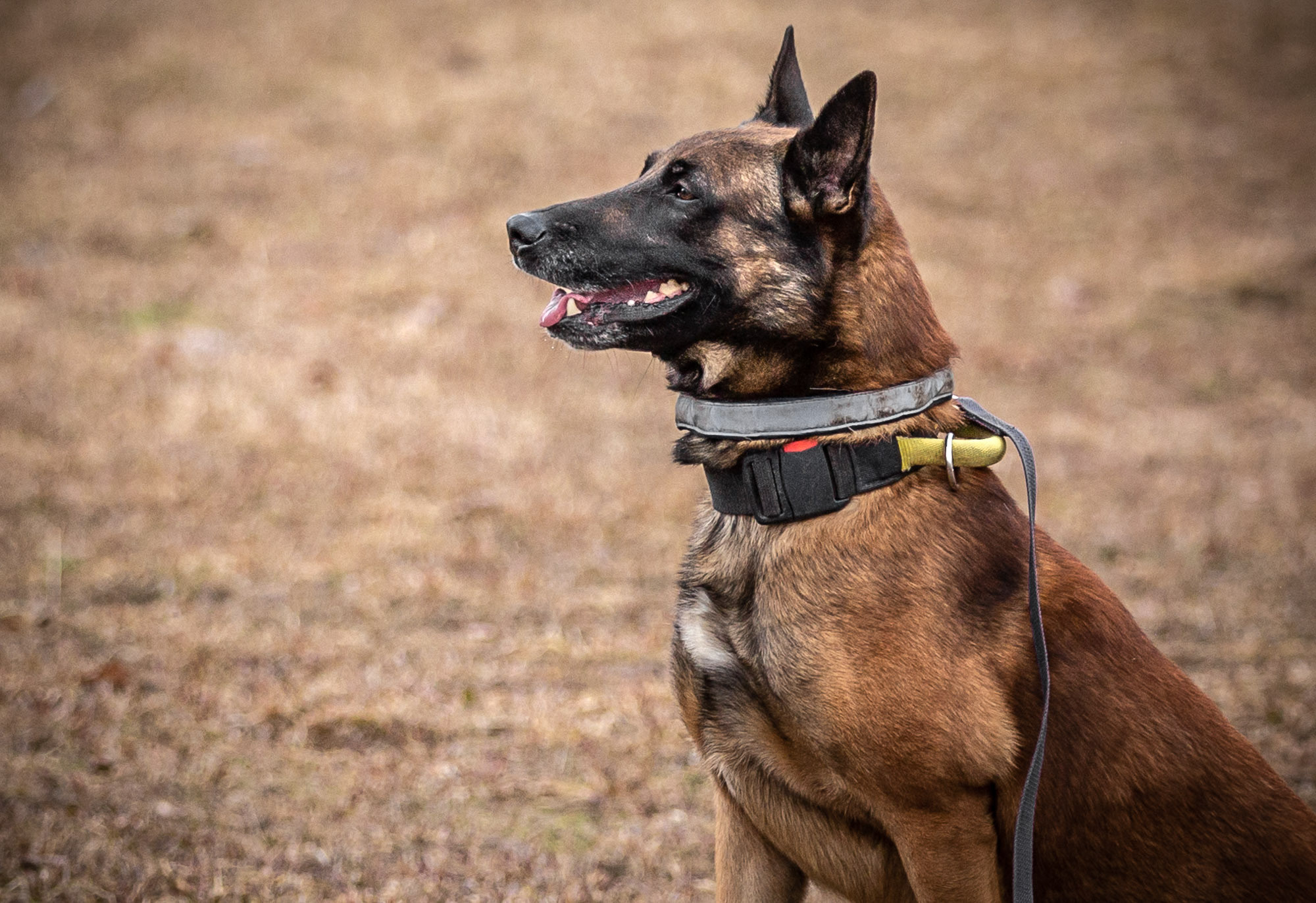 Репетиция. Фотограф — путешественник Светлана Романовская